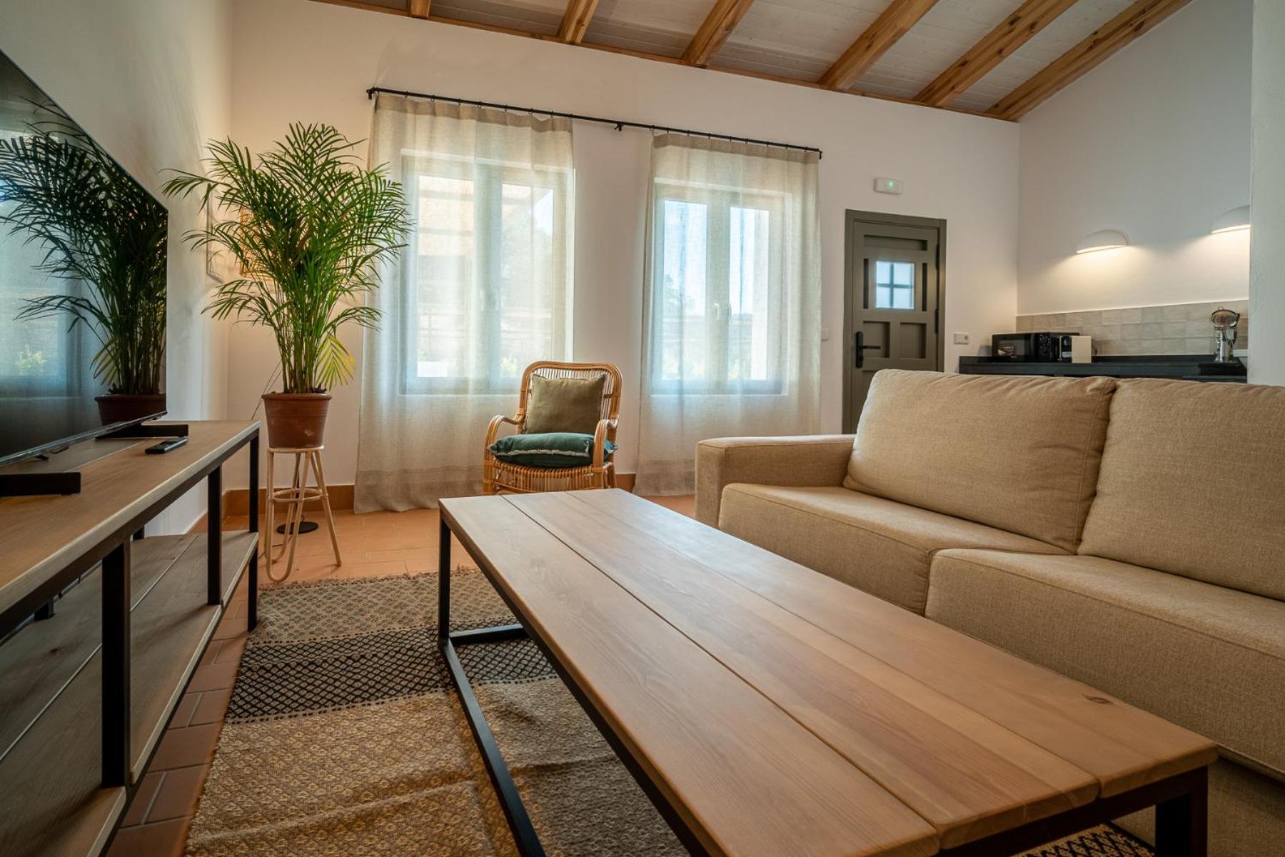 One-Bedroom Apartment photo 3