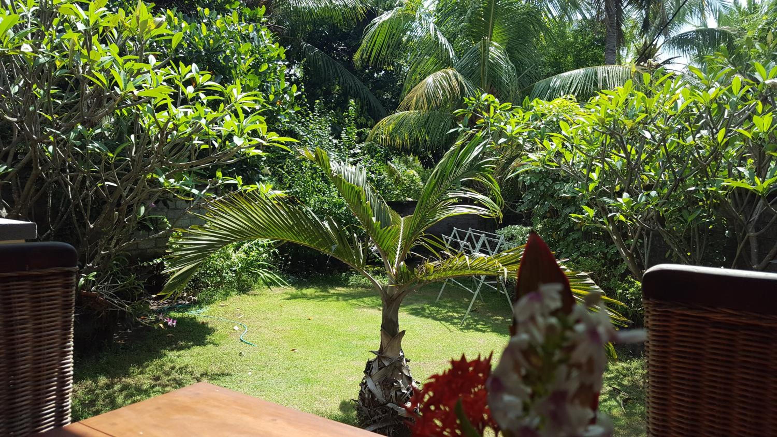 Standard Double or Twin Room with Garden View - Photo 8