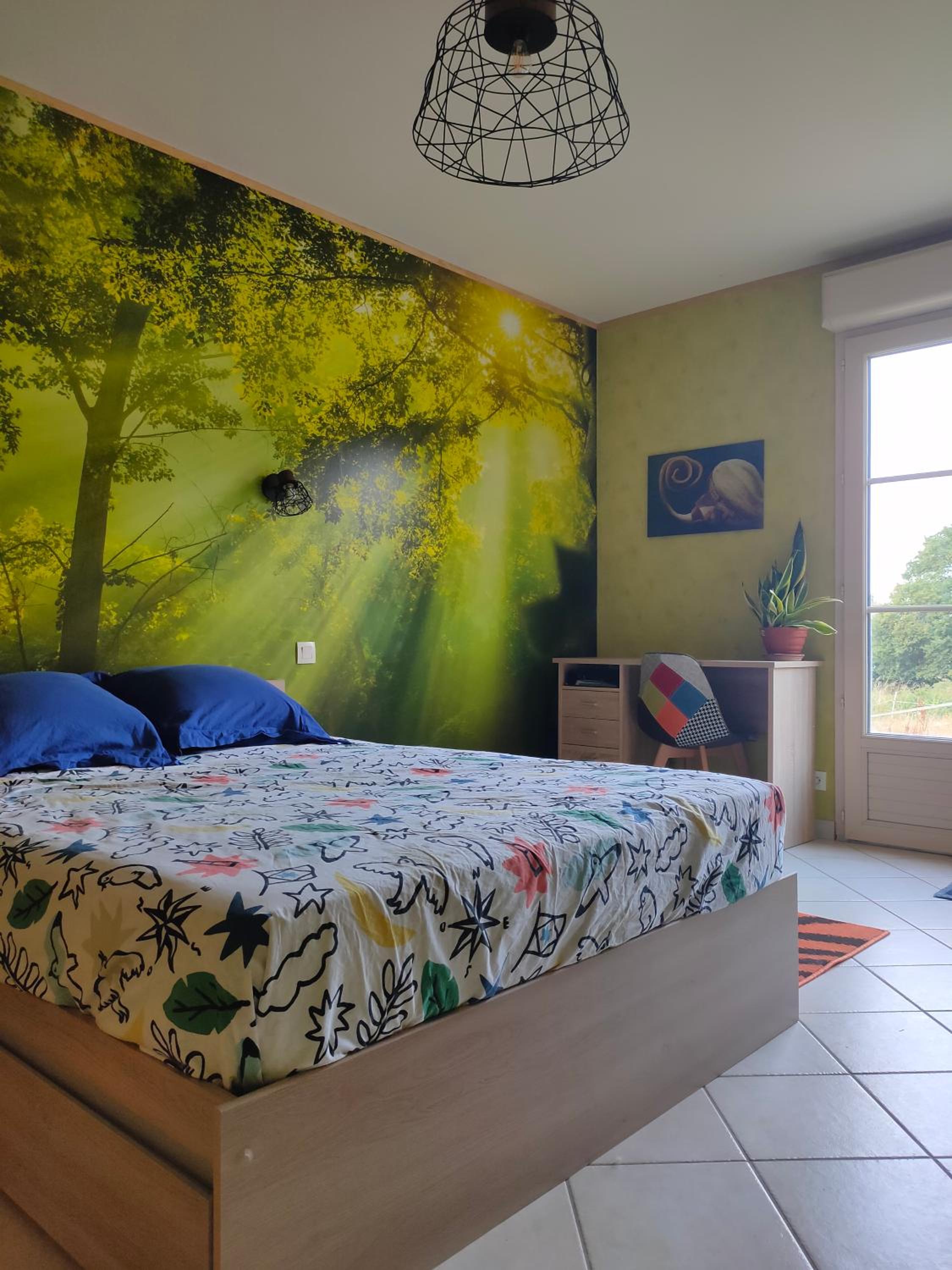 Deluxe Double Room photo 2