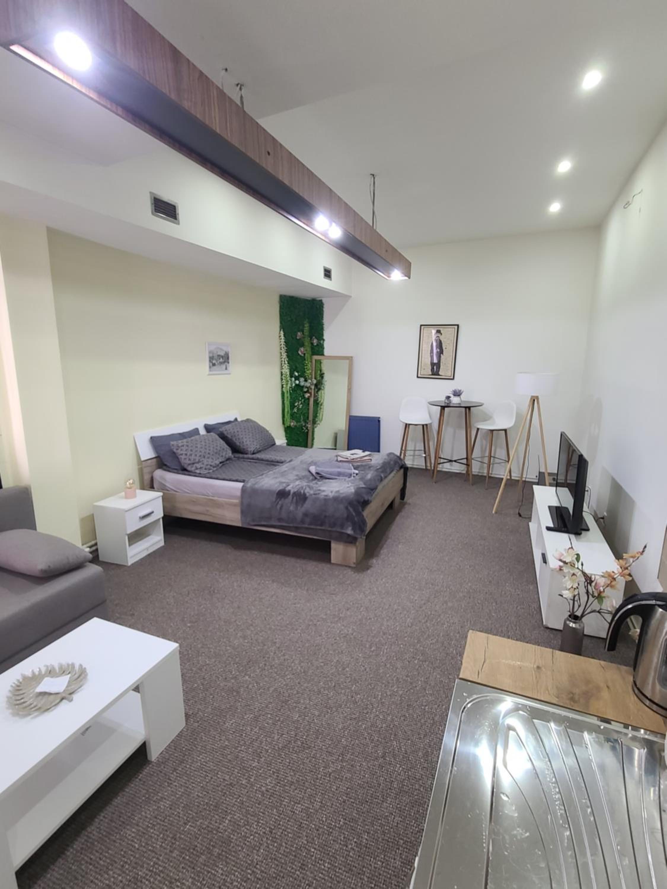 Deluxe Apartment photo 3