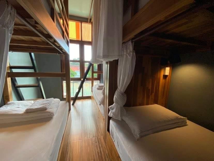6-Bed Mixed Dormitory Room photo 3