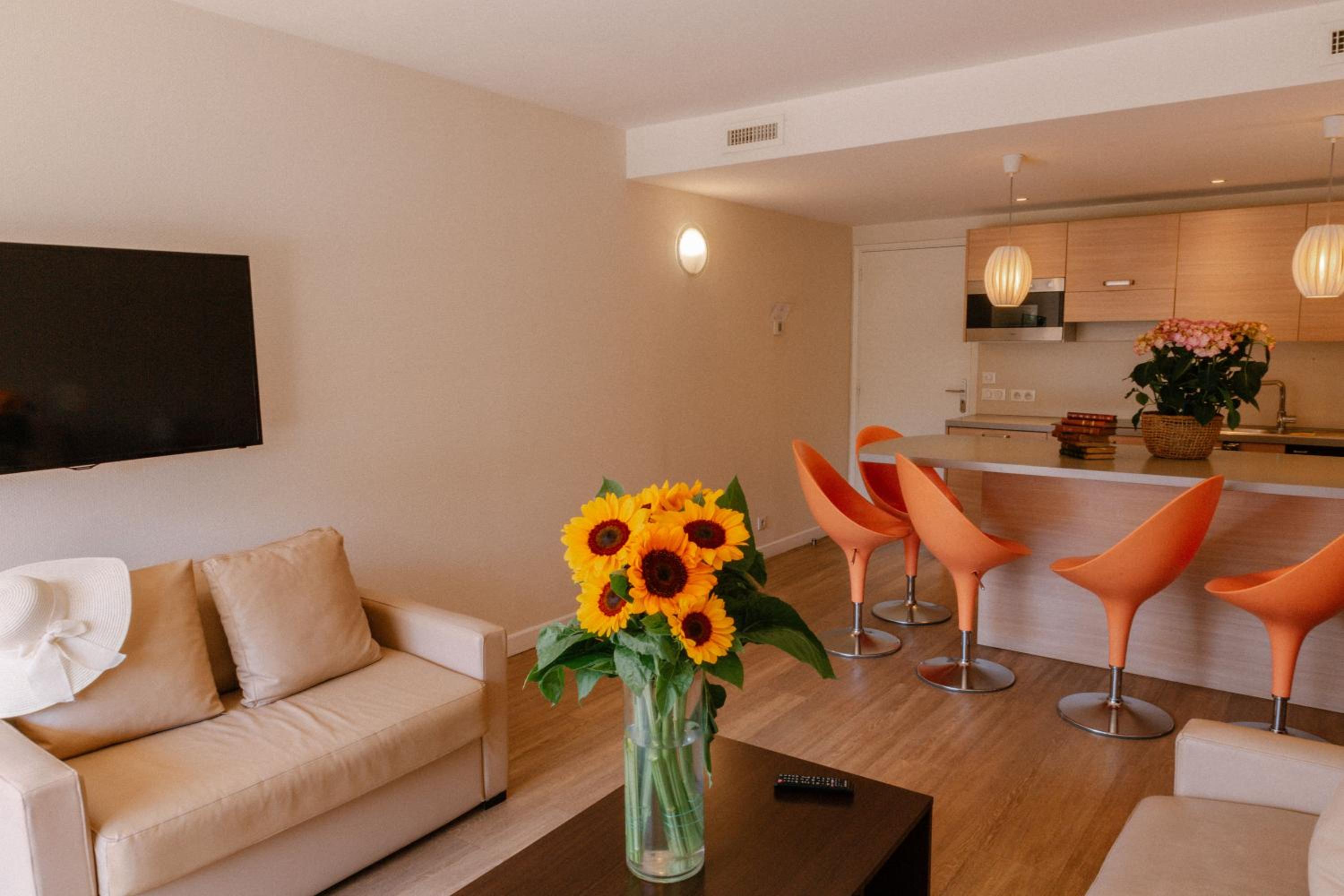 Superior One-Bedroom Apartment with Terrace photo 1