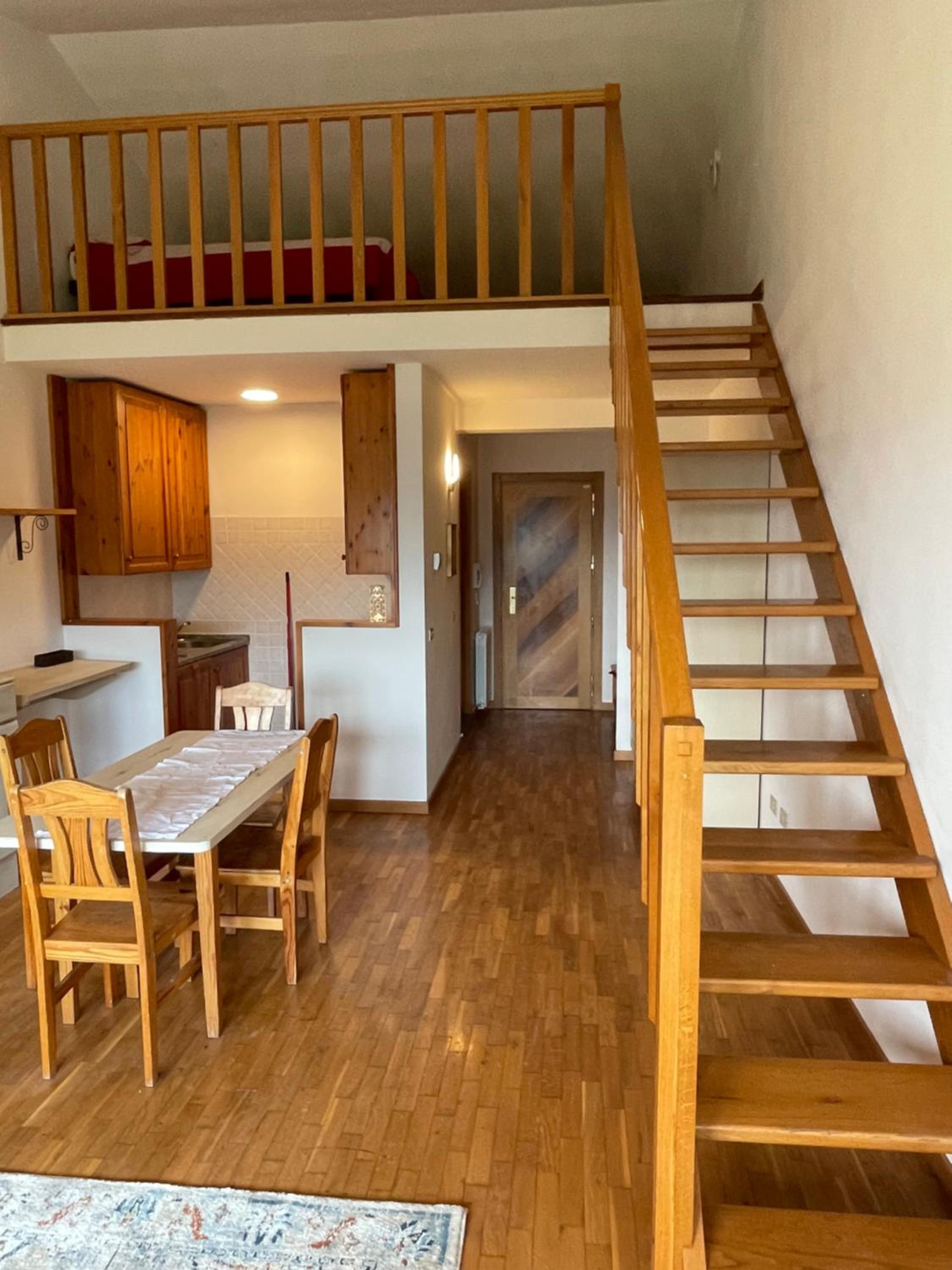 Duplex Apartment photo 3