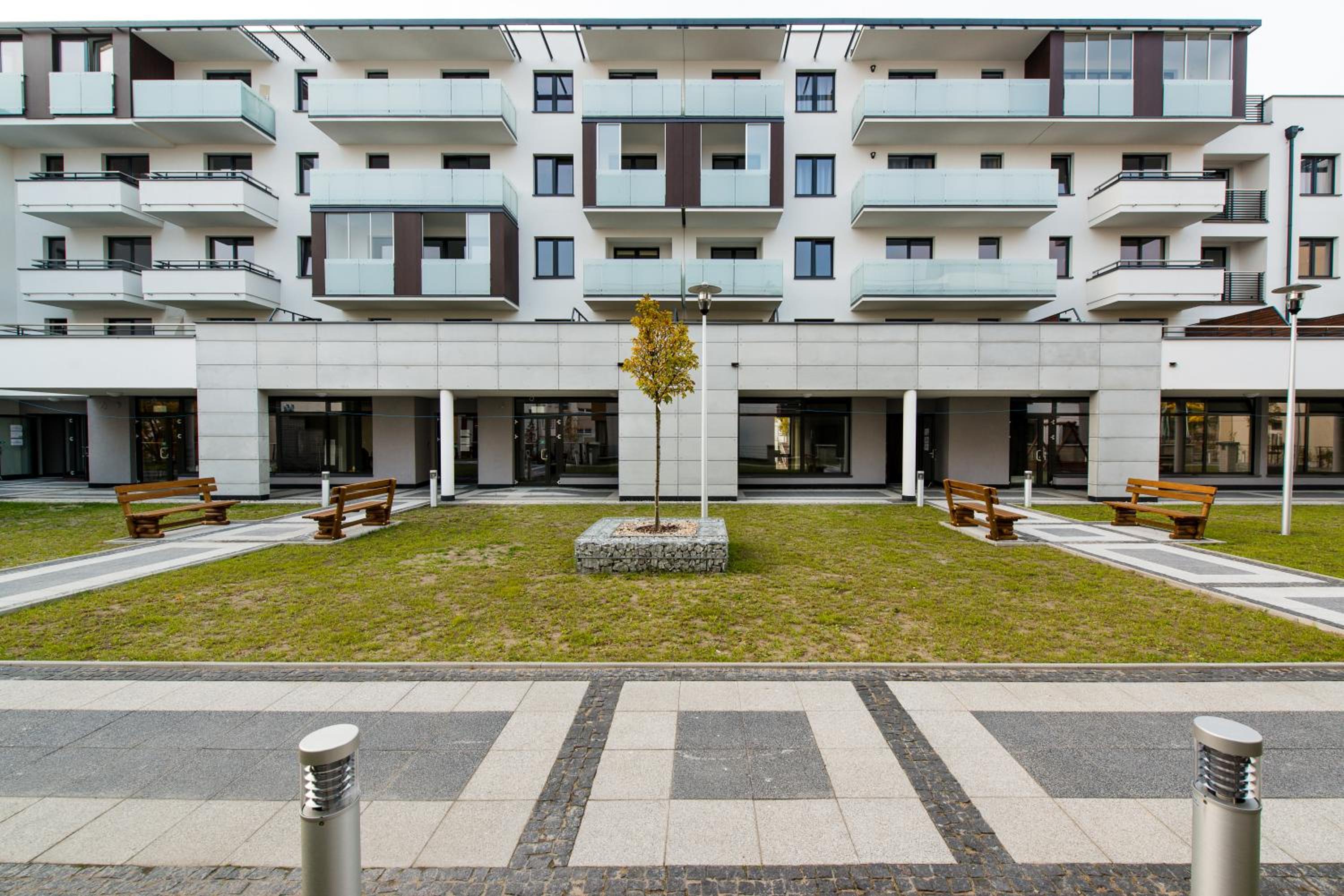 Executive Apartment - Photo 14