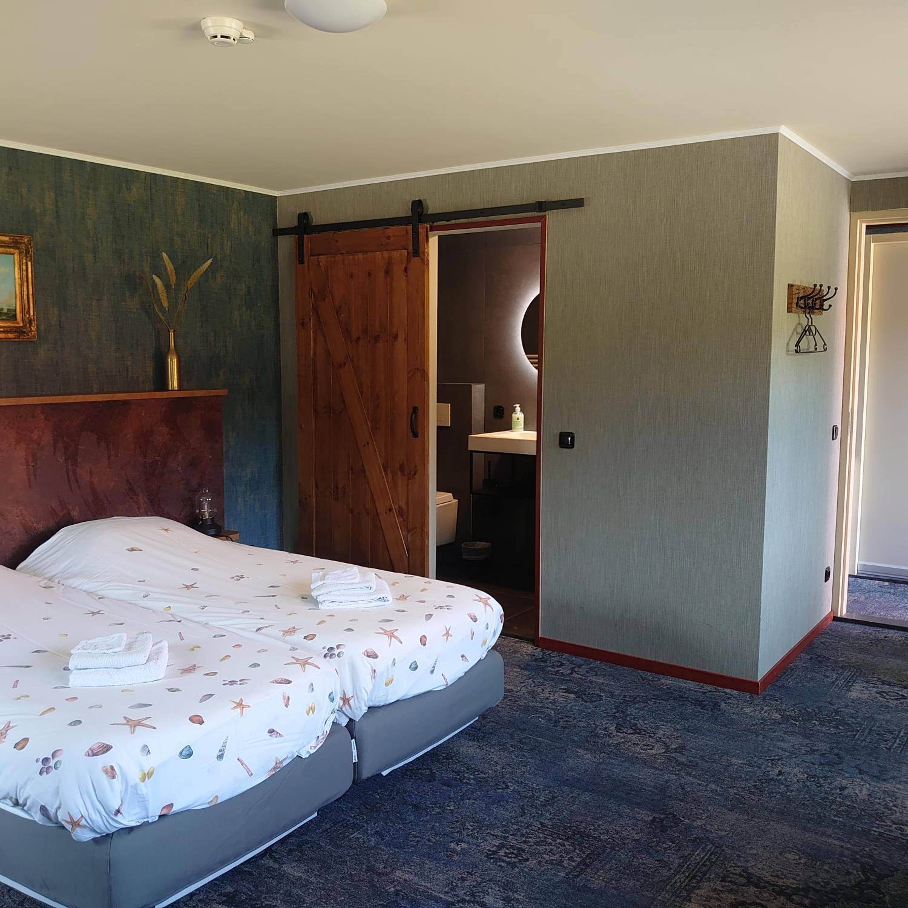 Superior Double or Twin Room with Terrace