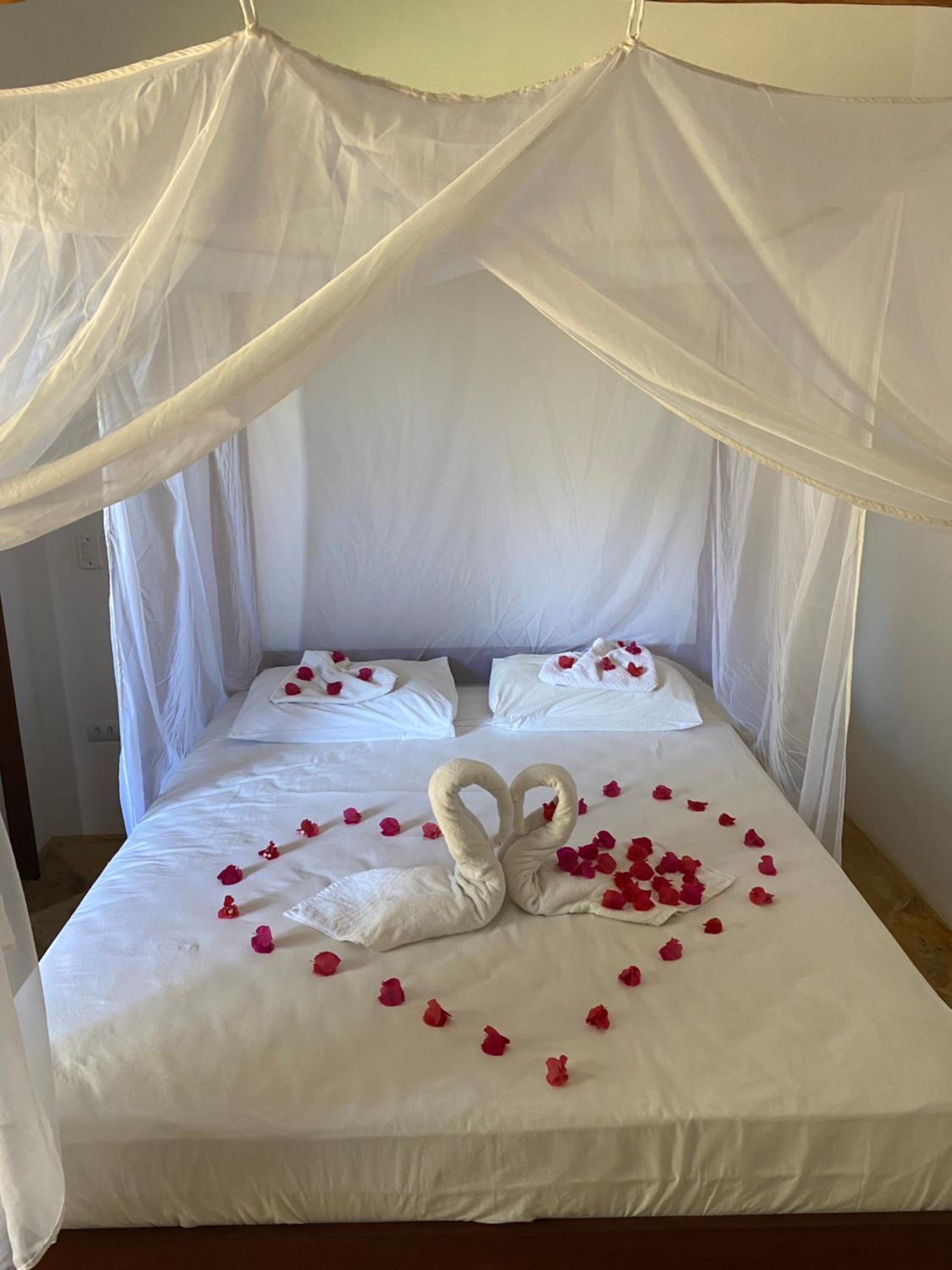 Double Room with Garden View photo 1