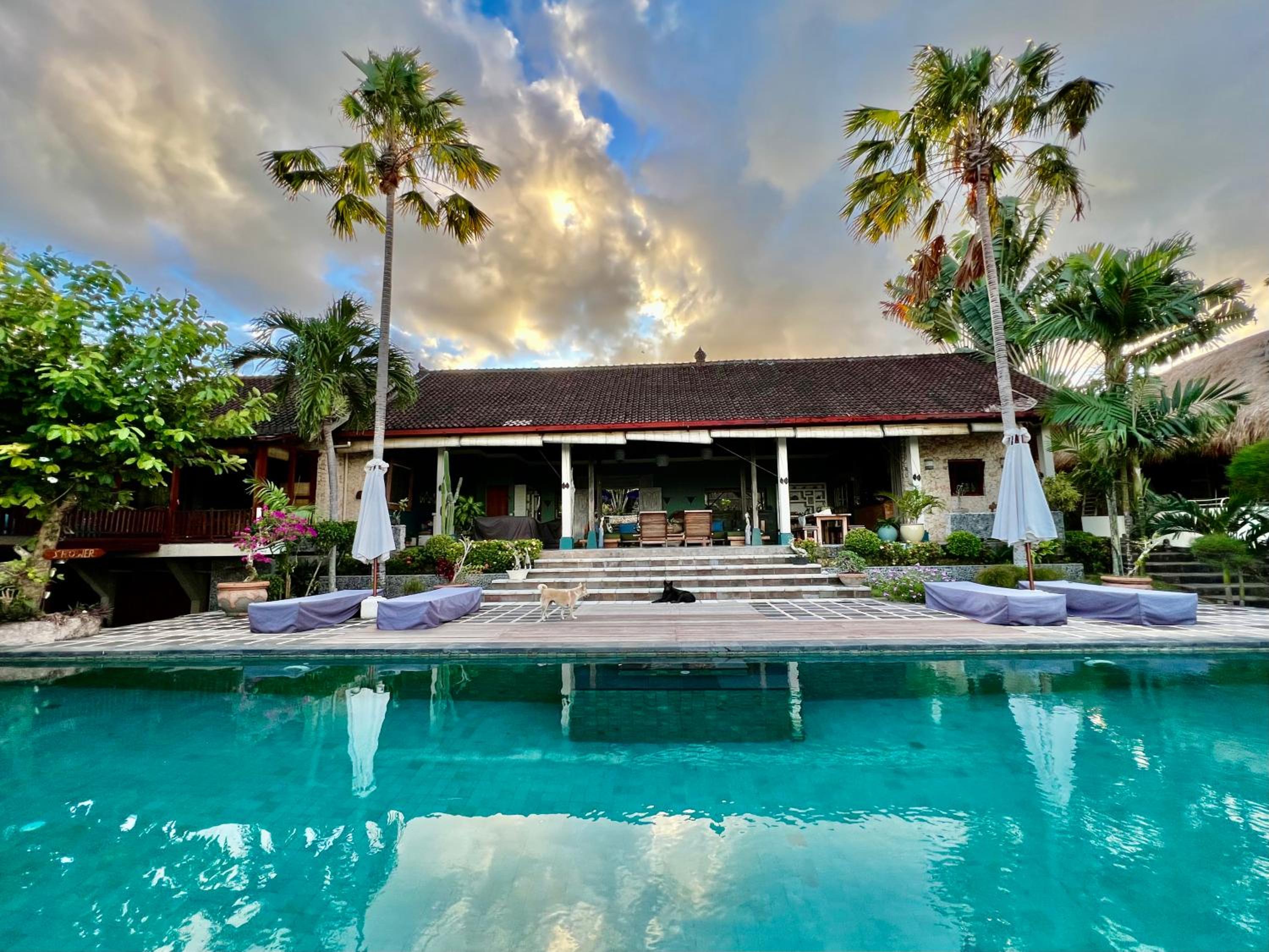 Three-Bedroom Villa photo 2