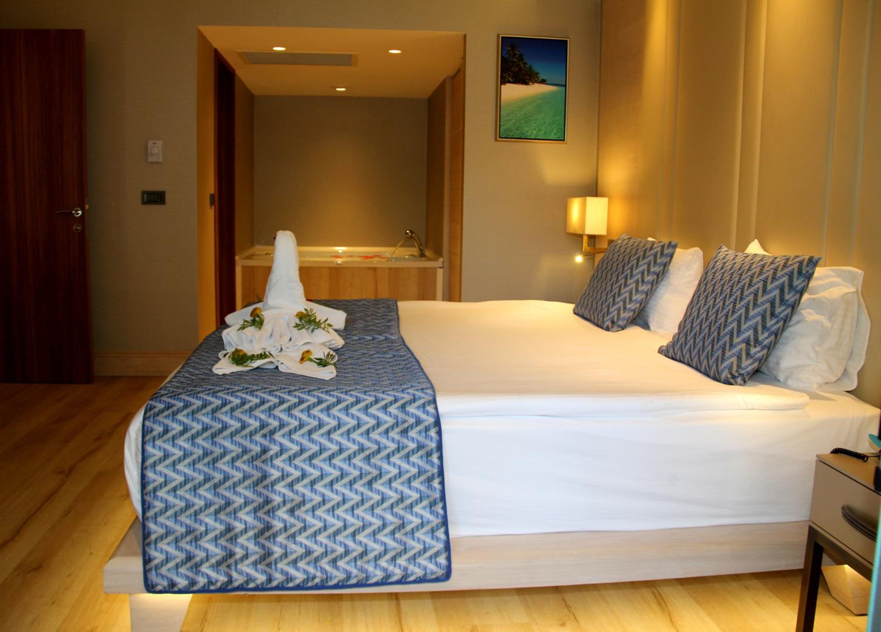 Deluxe Suite with Spa Bath photo 3