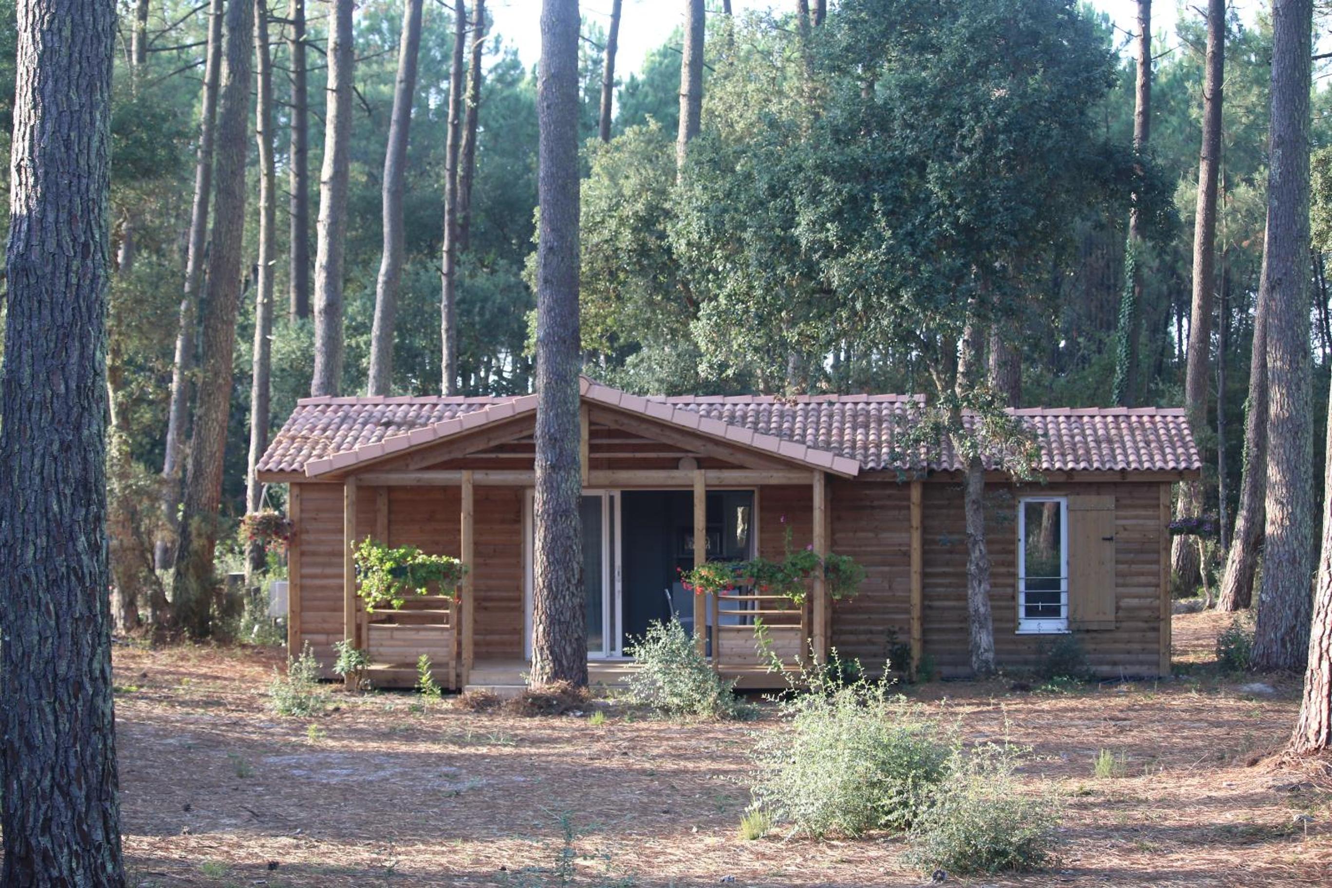 Superior Chalet photo 1