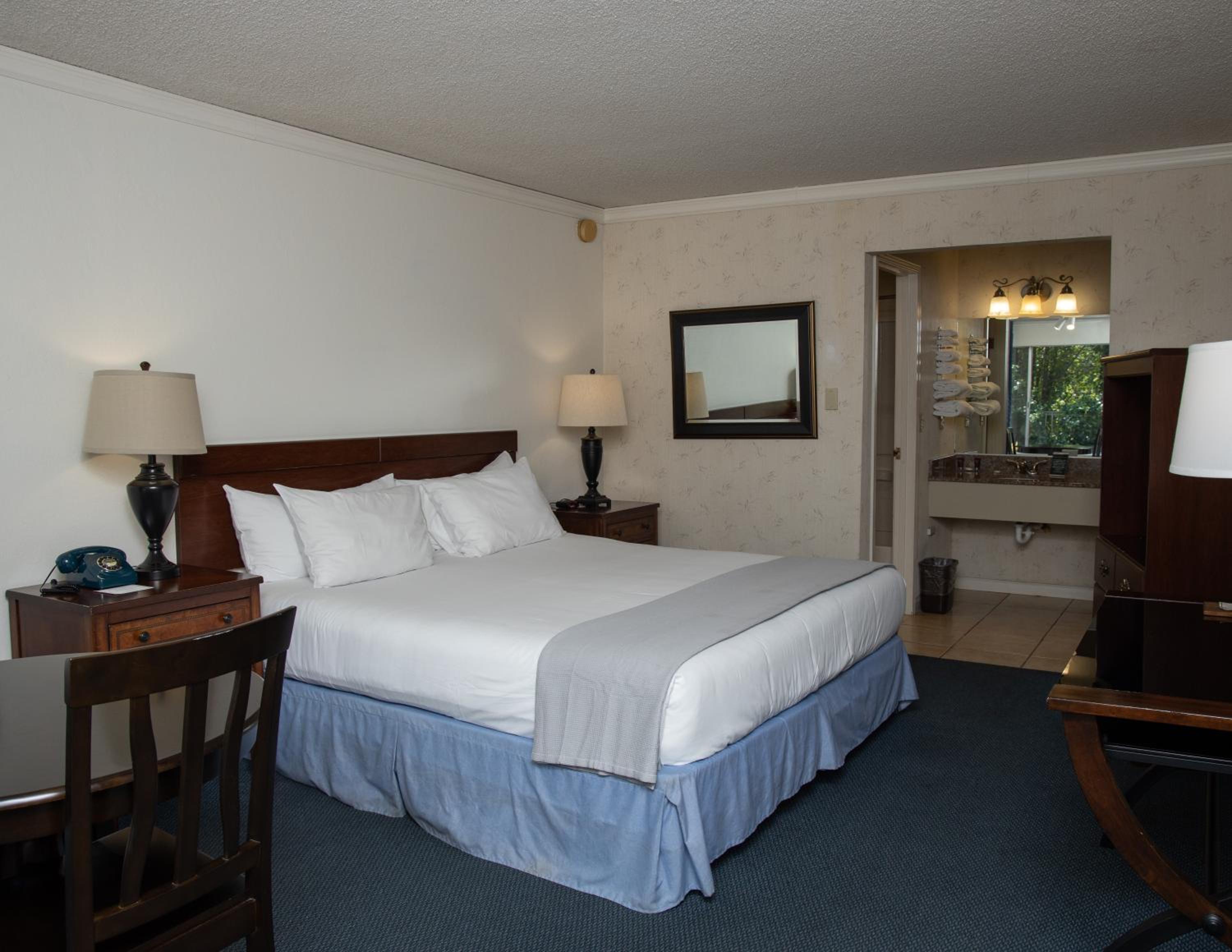 King Room - Photo 1