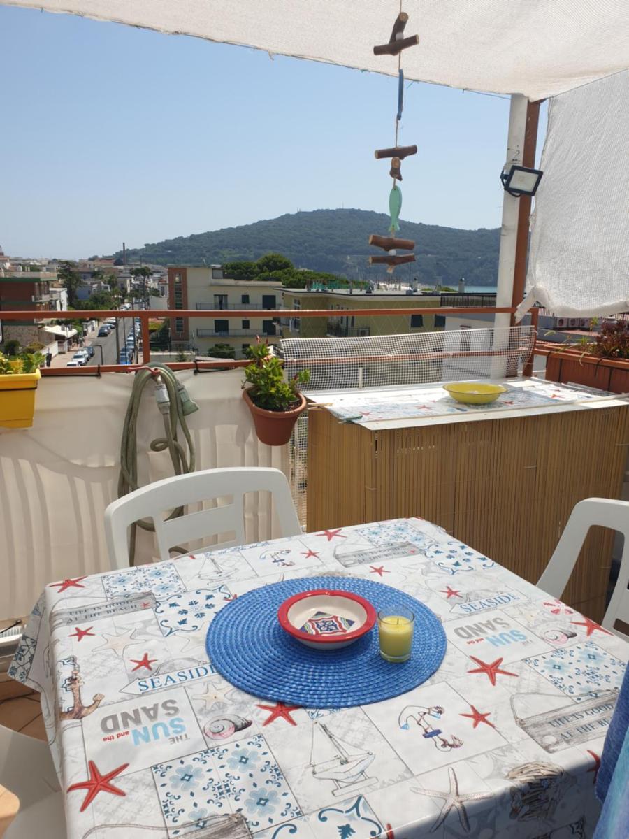Studio with Terrace