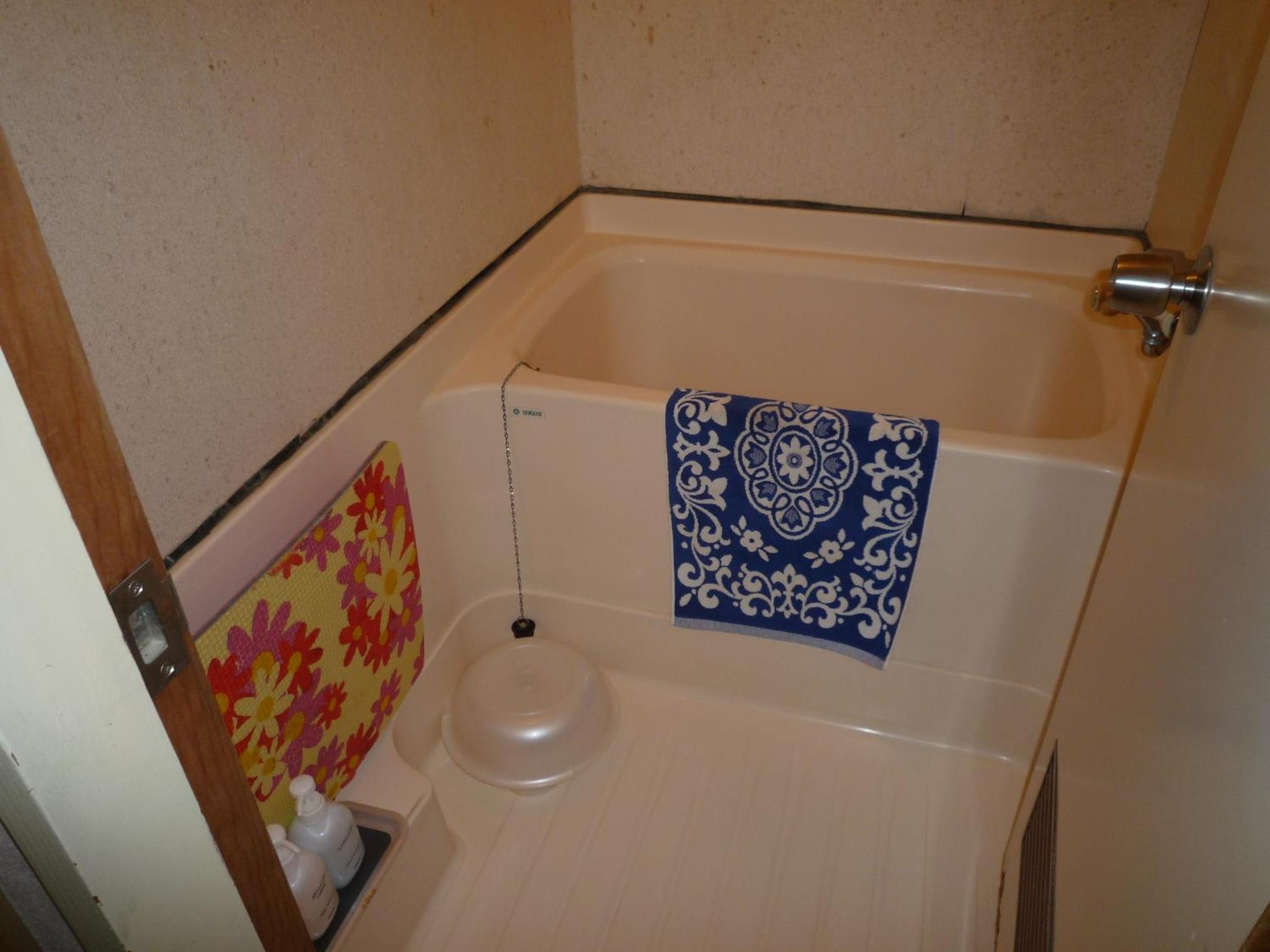 Japanese-Style Room photo 2