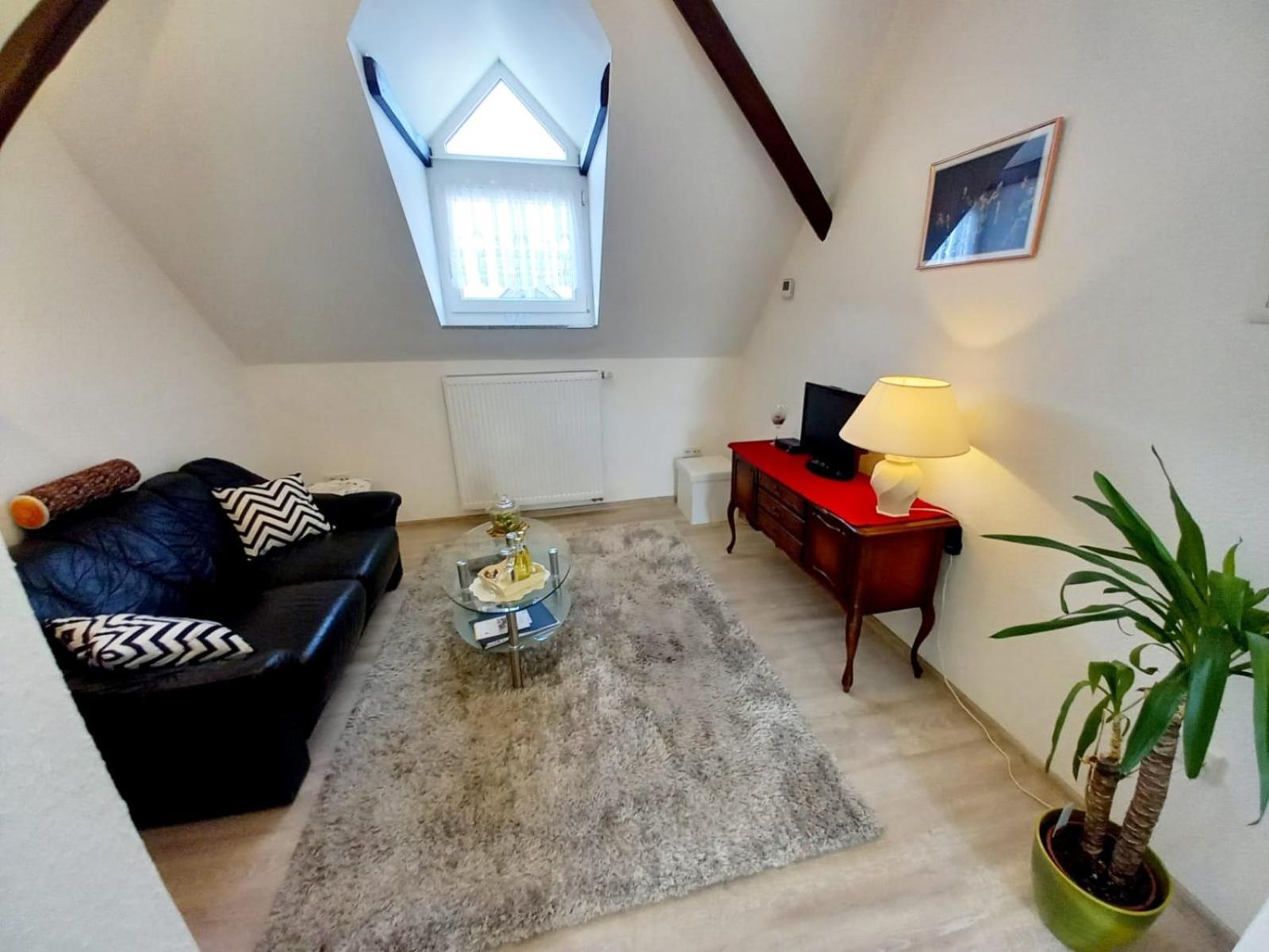 One-Bedroom Apartment photo 2