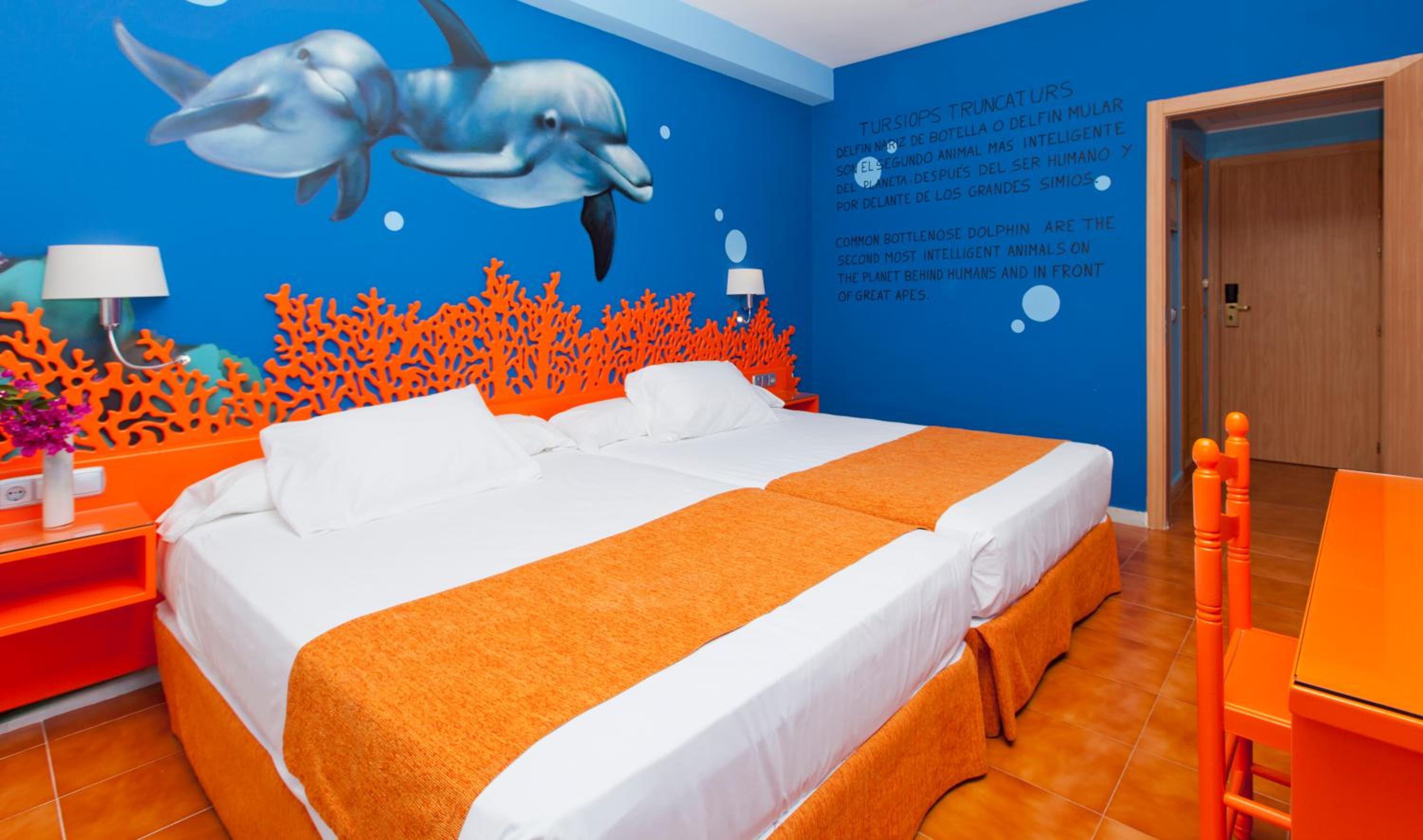 Habitación Familiar (2 Adultos + 2 Niños)