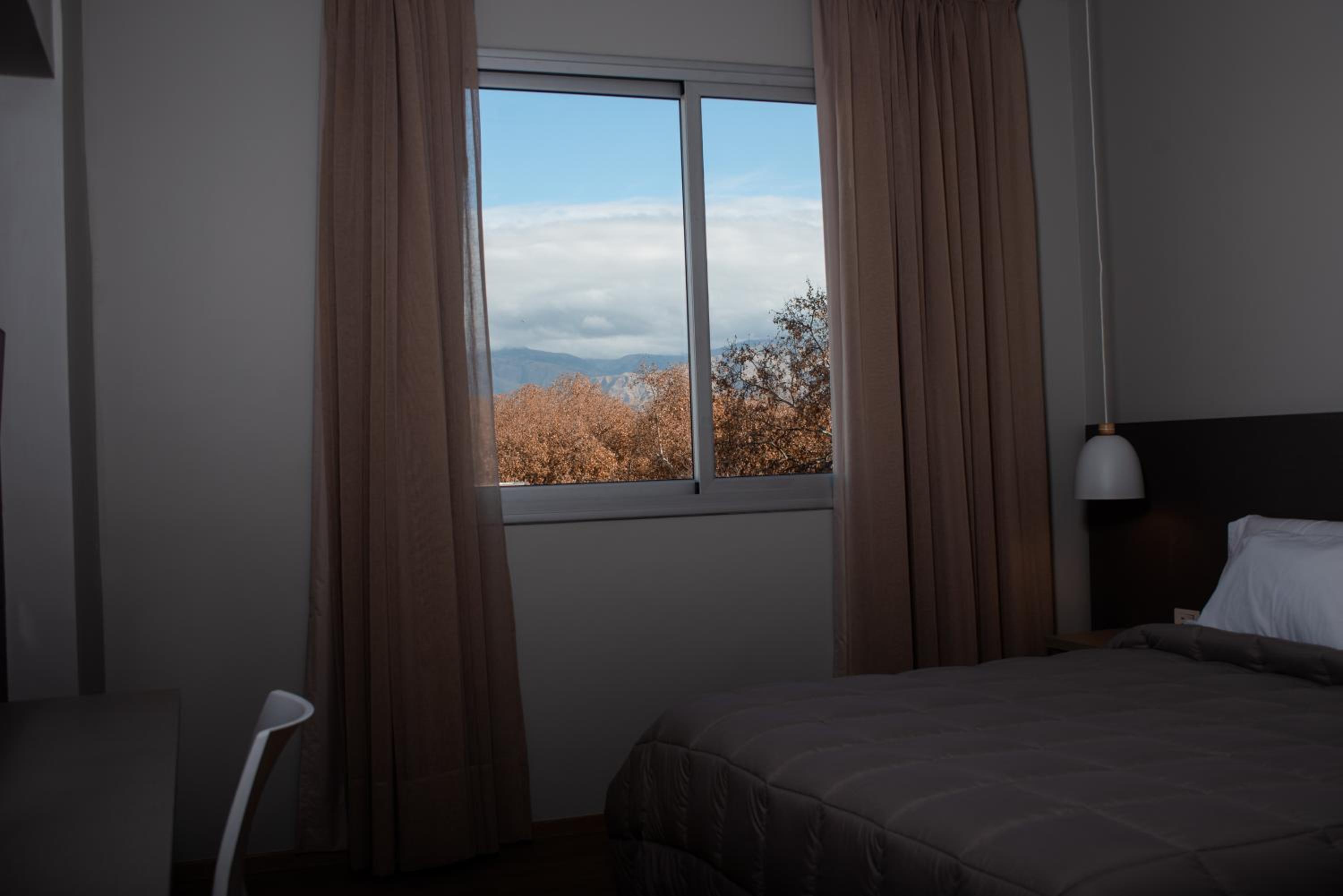 Superior Double or Twin Room photo 2