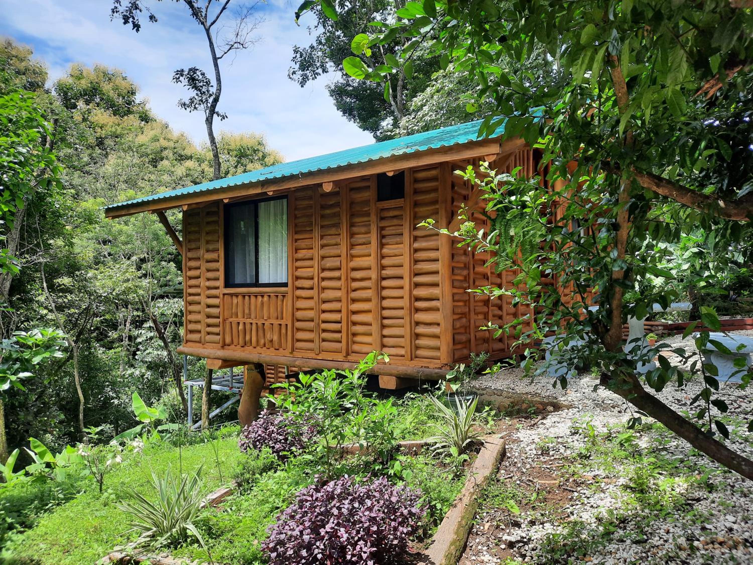 One-Bedroom House photo 1