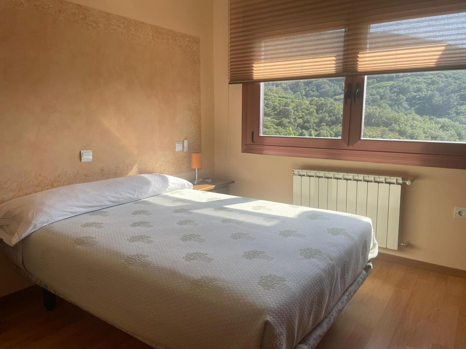 Deluxe Double or Twin Room photo 2