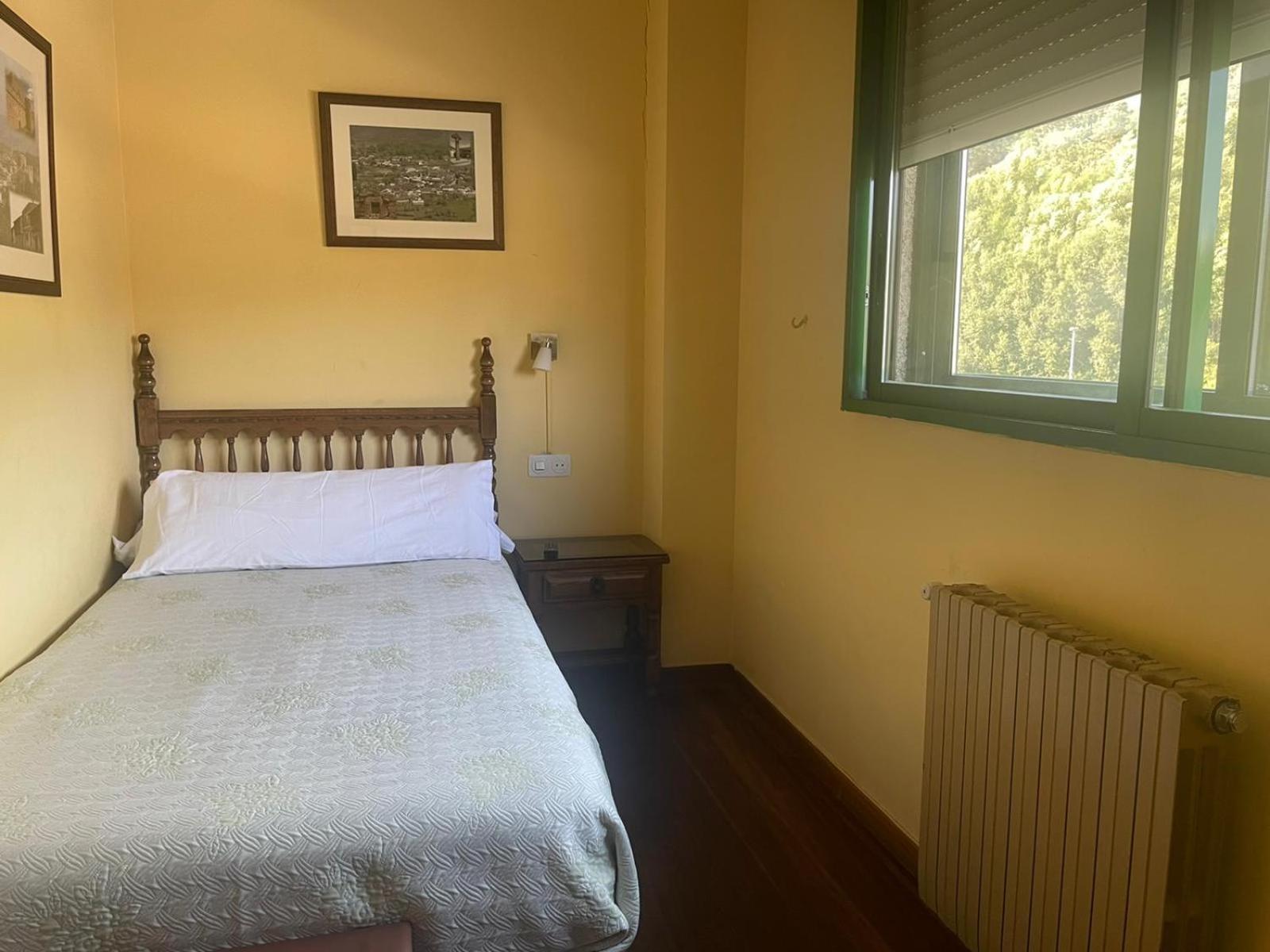 Single Room photo 2