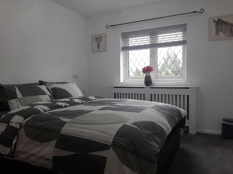 One-Bedroom House - Photo 12