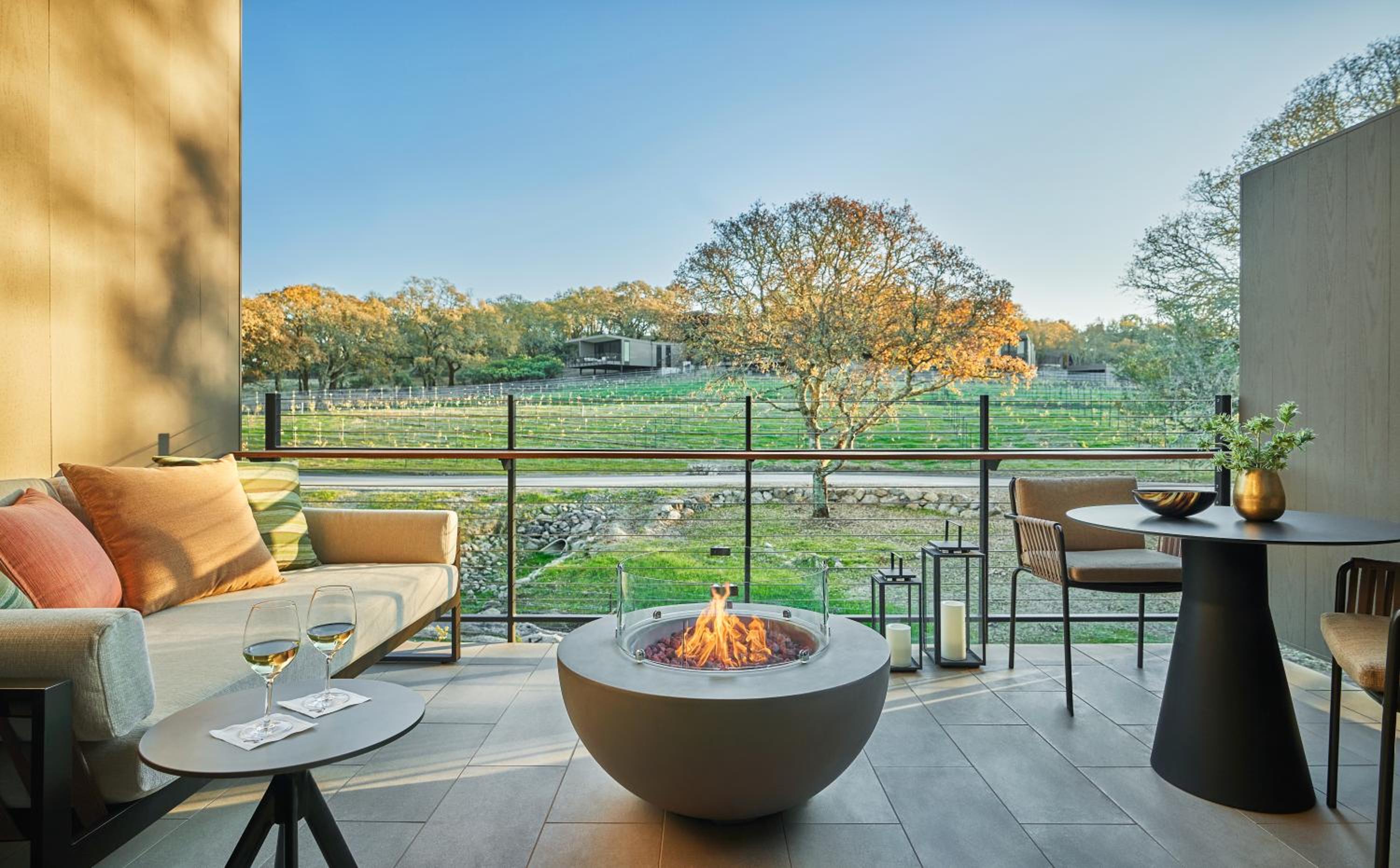Vineyard King - Photo 3