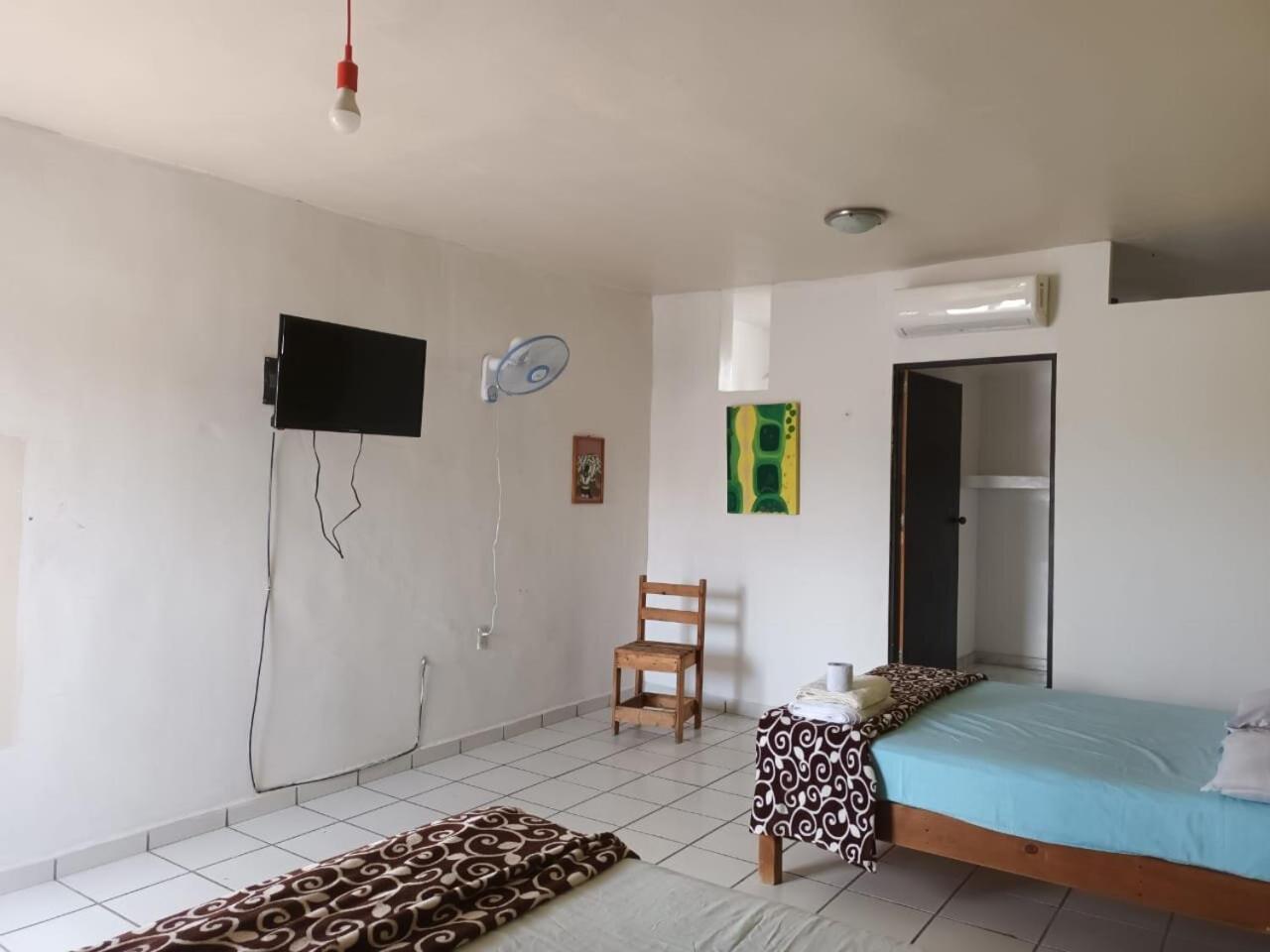 Budget Twin Room photo 1
