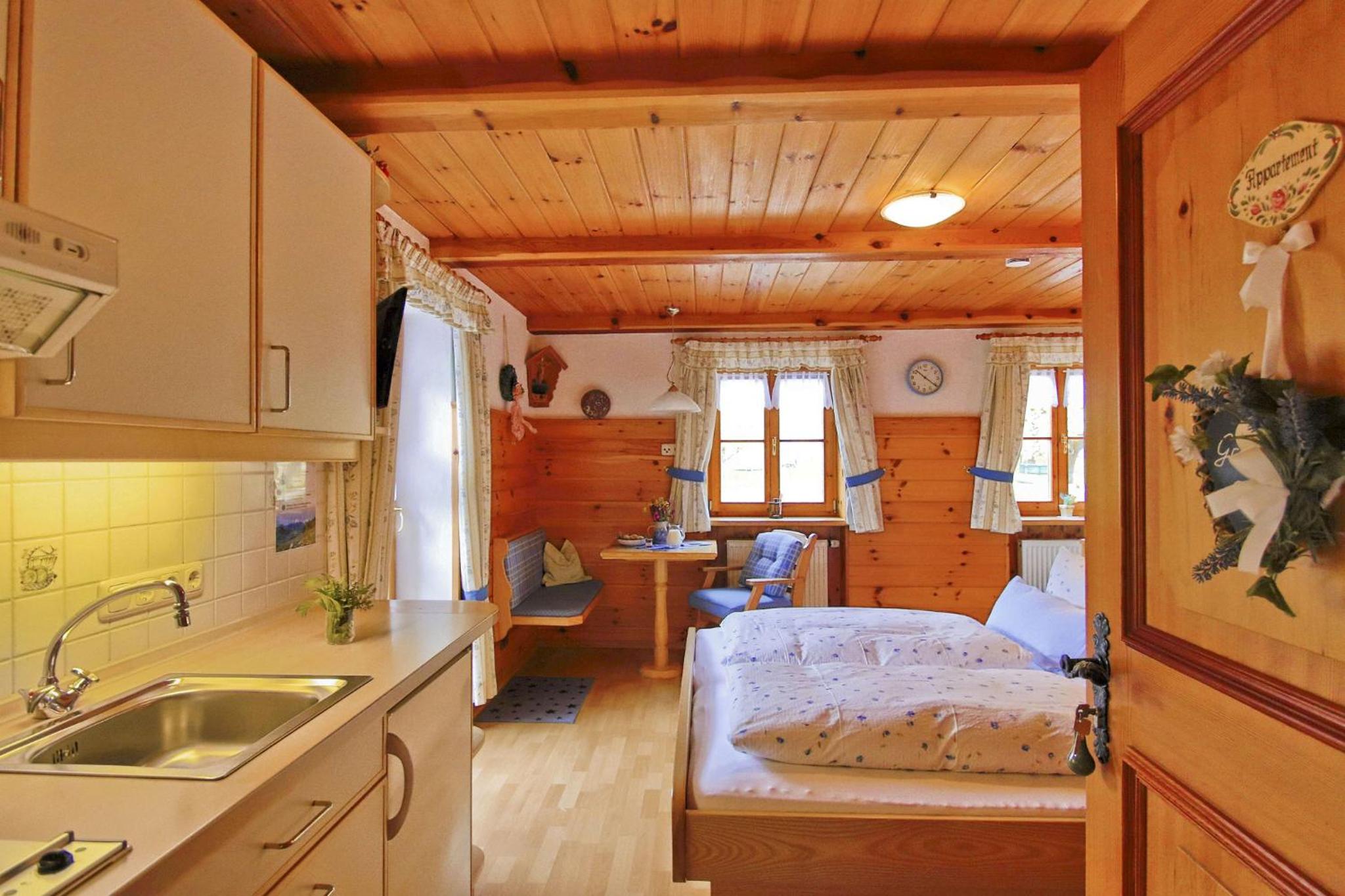 Apartment with Mountain View photo 3