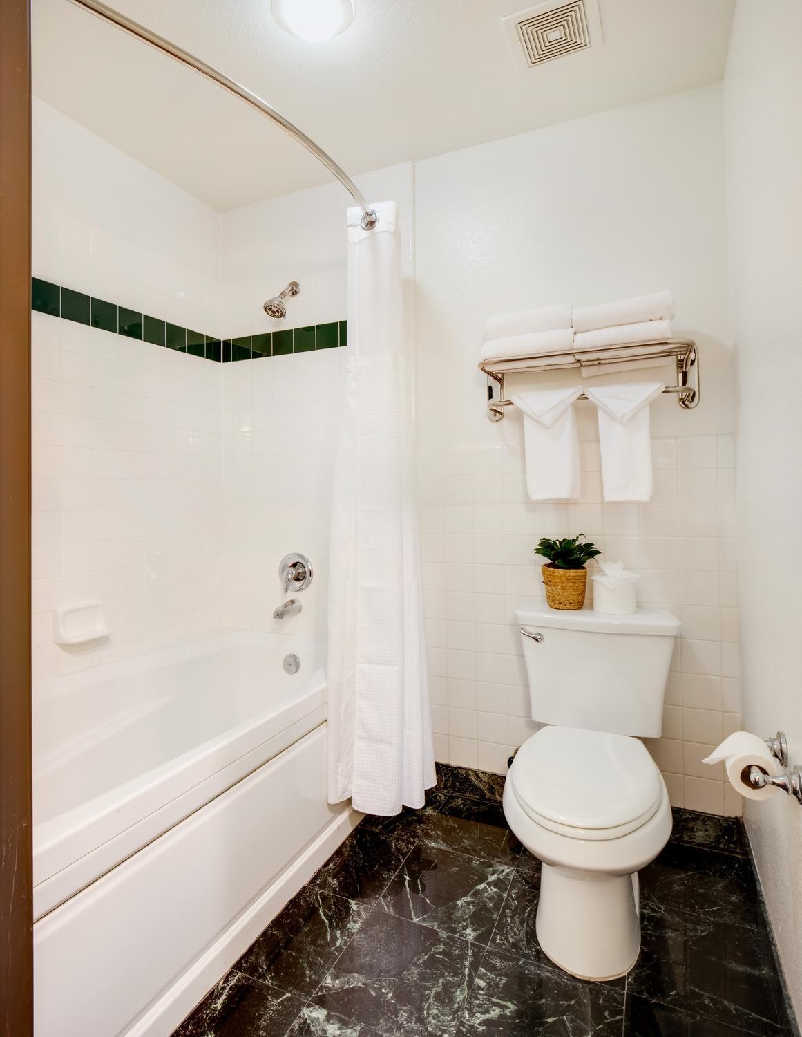 King Studio Suite - Photo 4