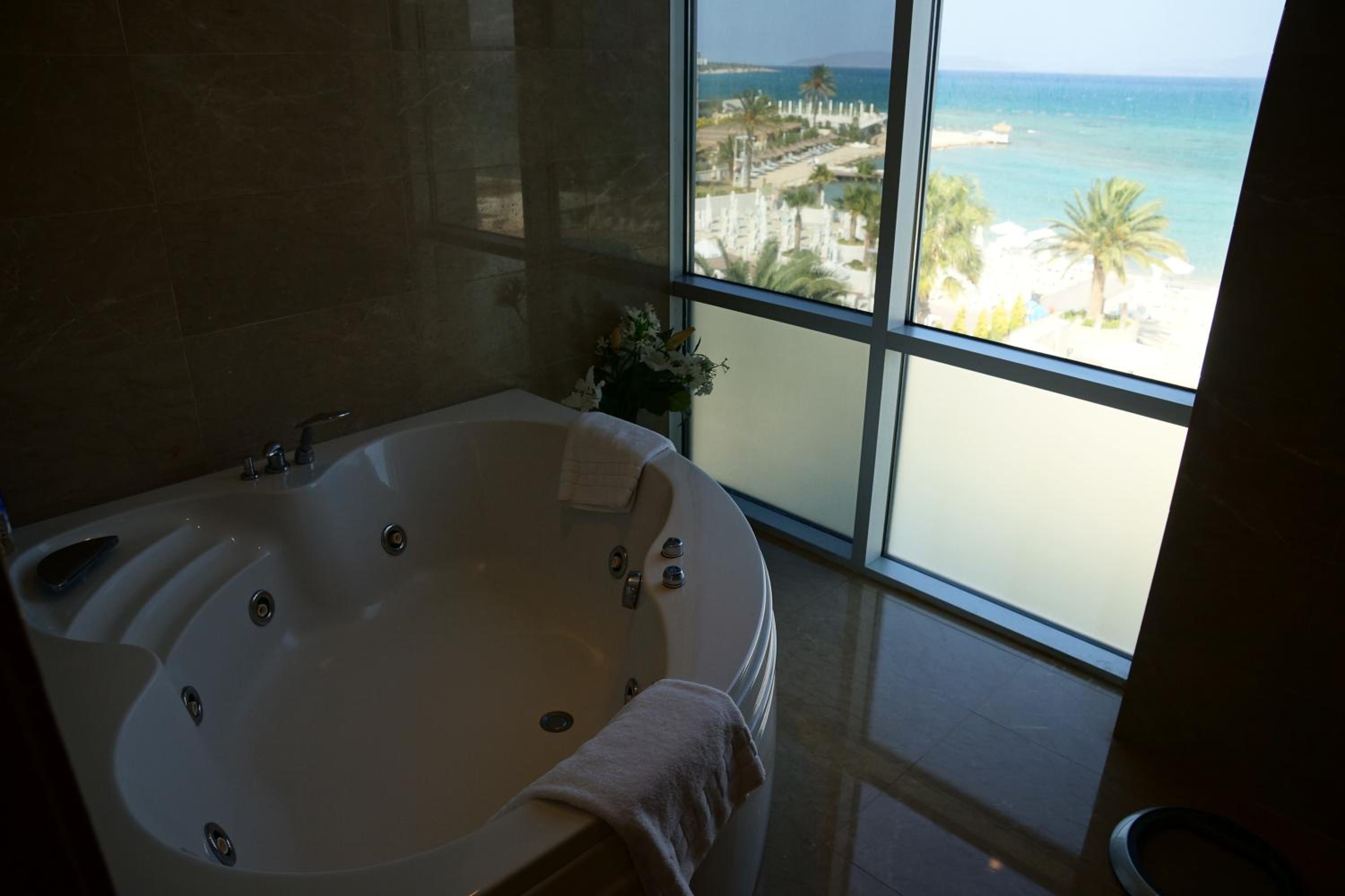 Executive Suite - Photo 2