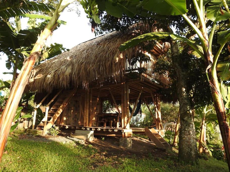 Deluxe Bungalow With Garden View photo 1
