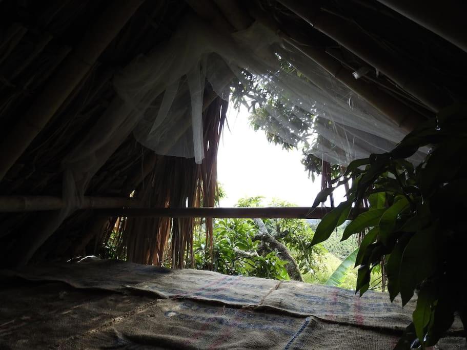 Deluxe Bungalow With Garden View photo 3