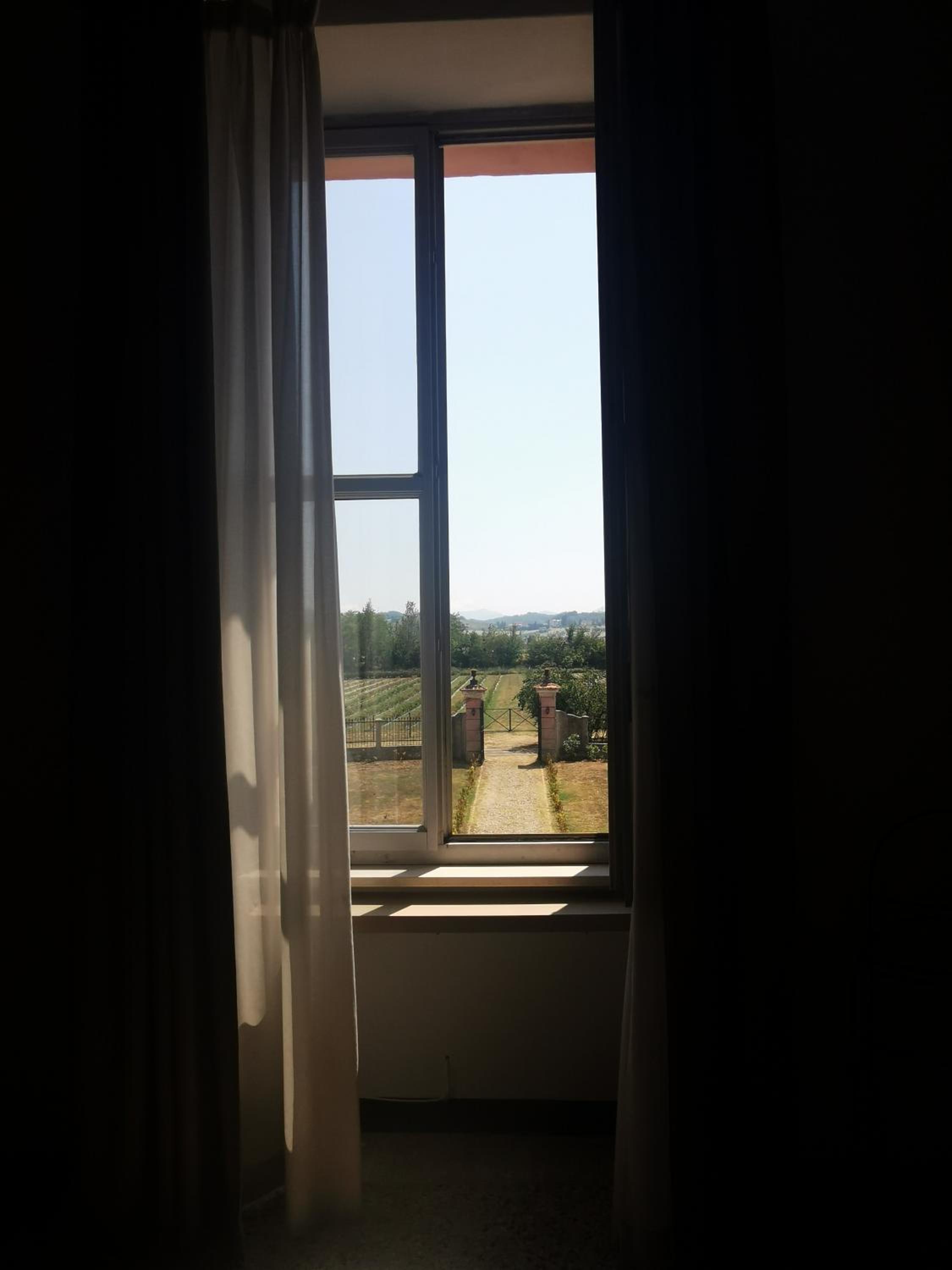 Junior Suite With Garden View photo 3