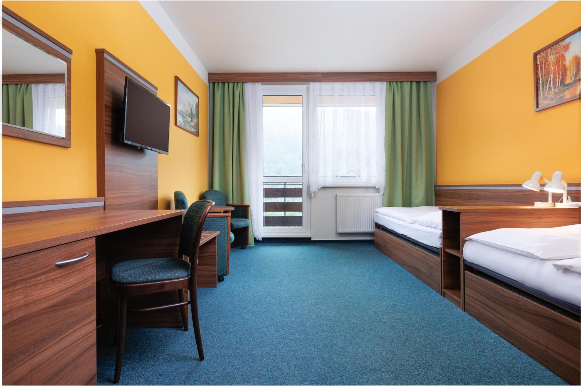 Deluxe Double or Twin Room photo 3