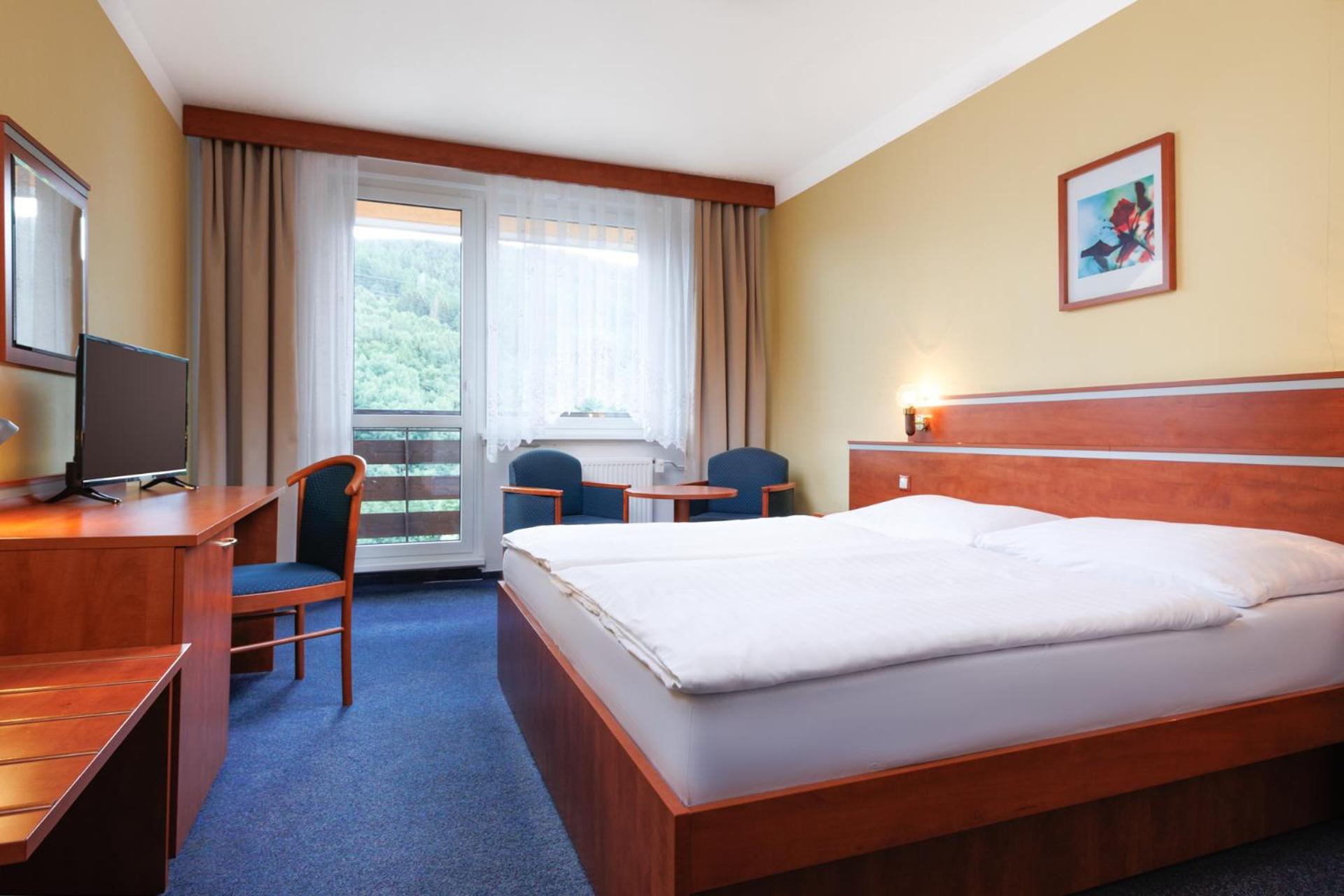 Deluxe Double or Twin Room photo 1