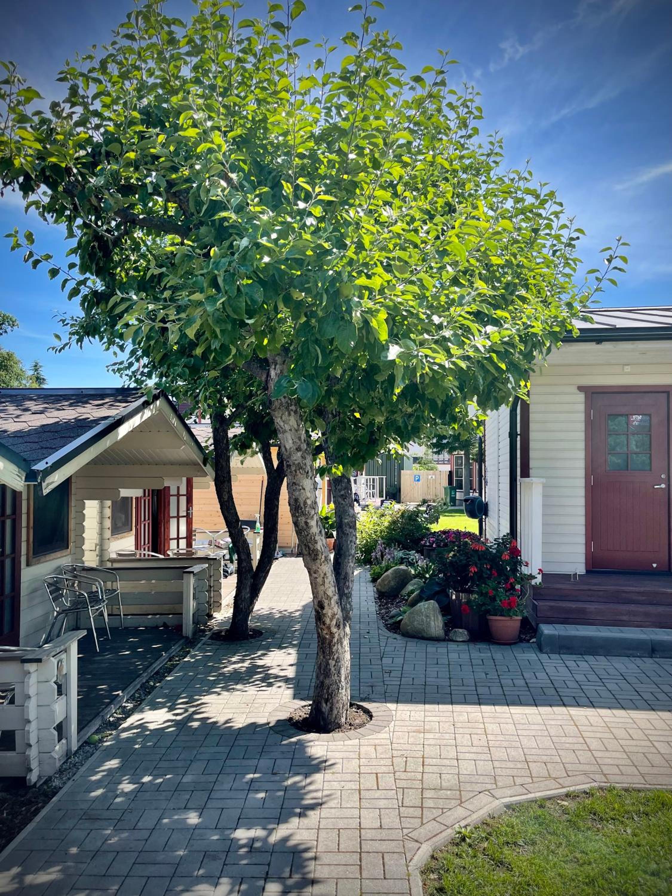 Cottage (4 Adults) photo 1