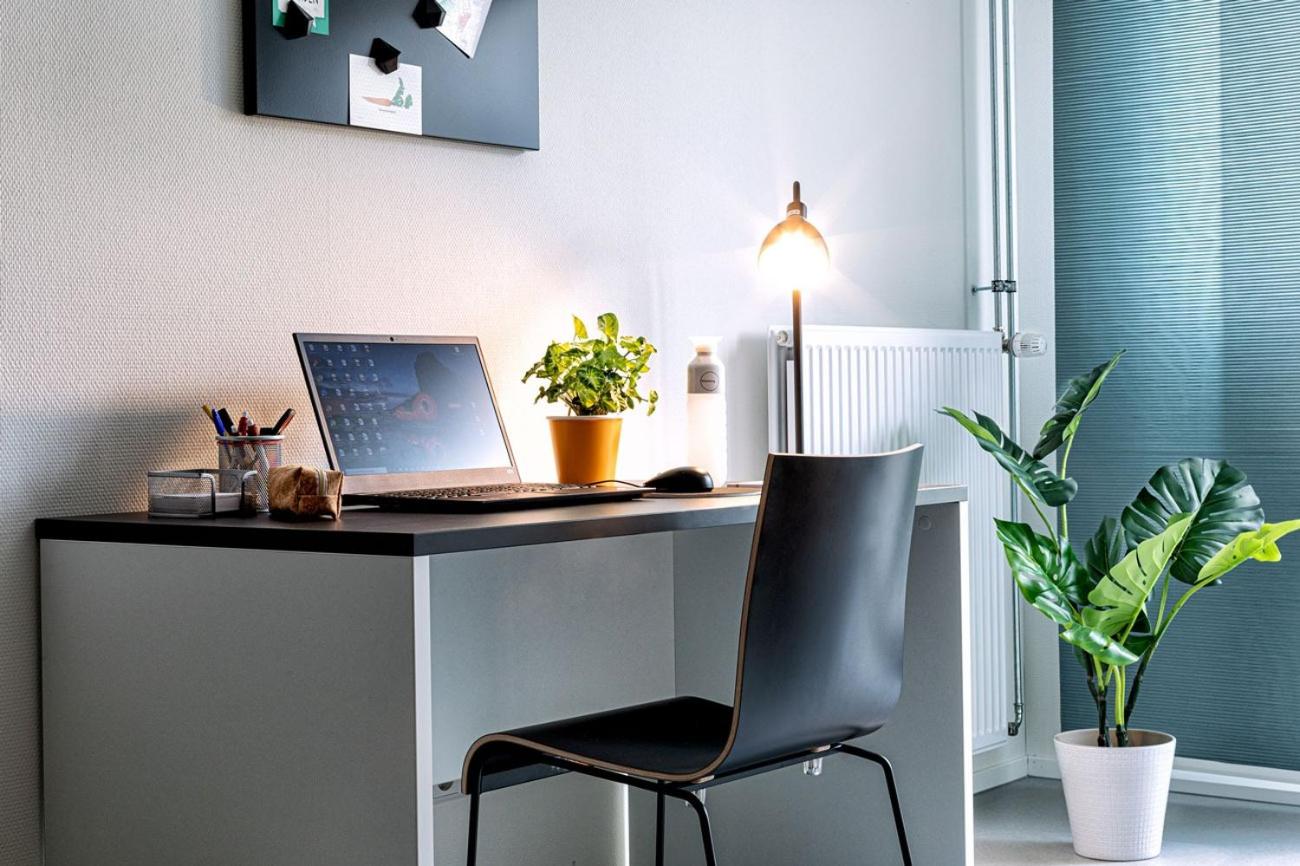 Studio Apartment photo 2