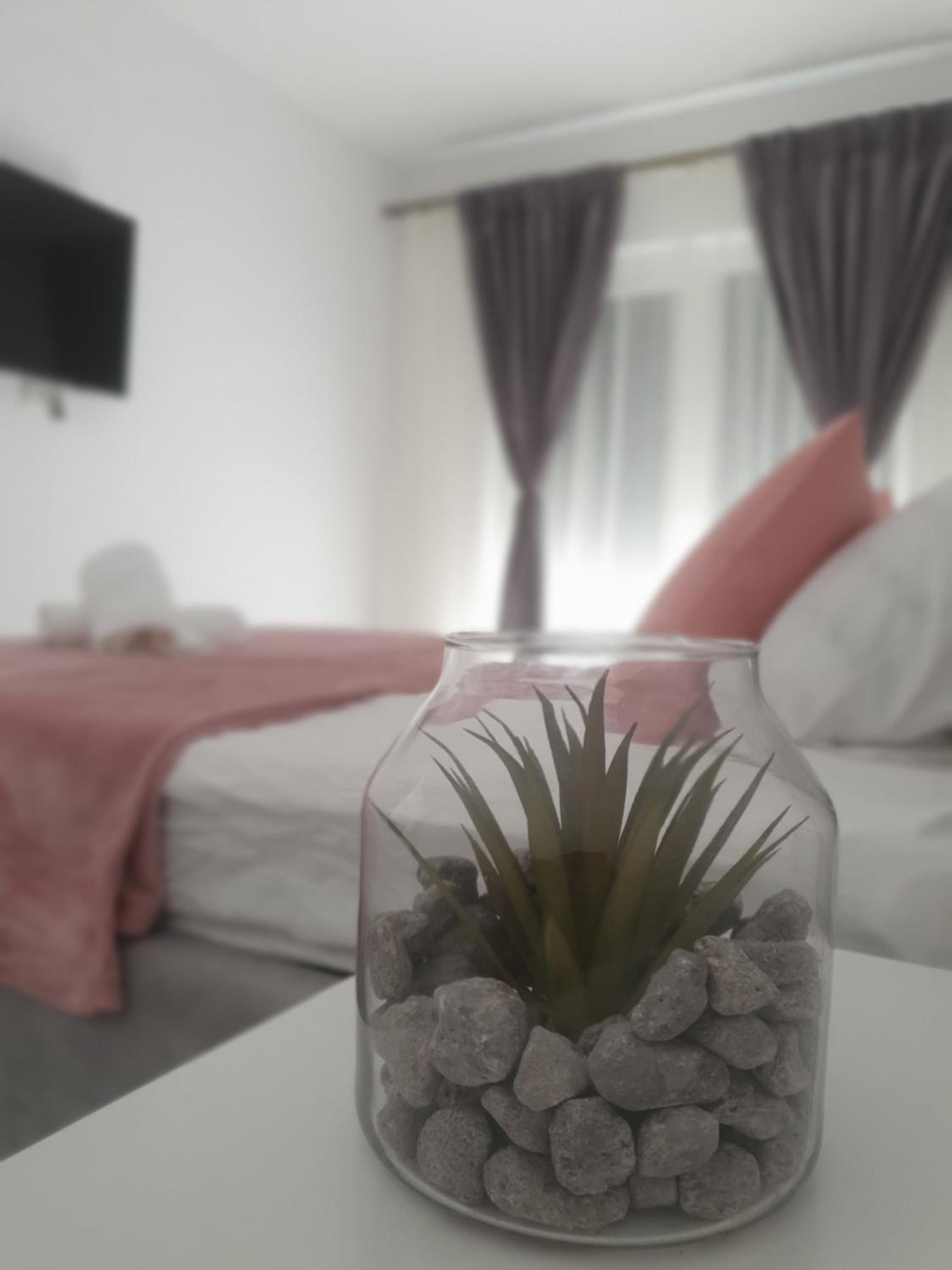One-Bedroom Apartment - Photo 16