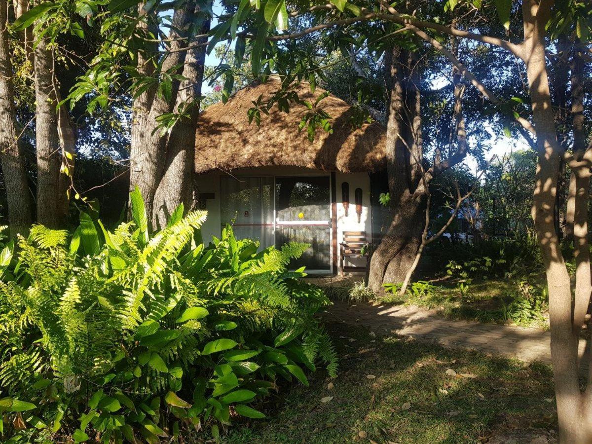 Chalet photo 1