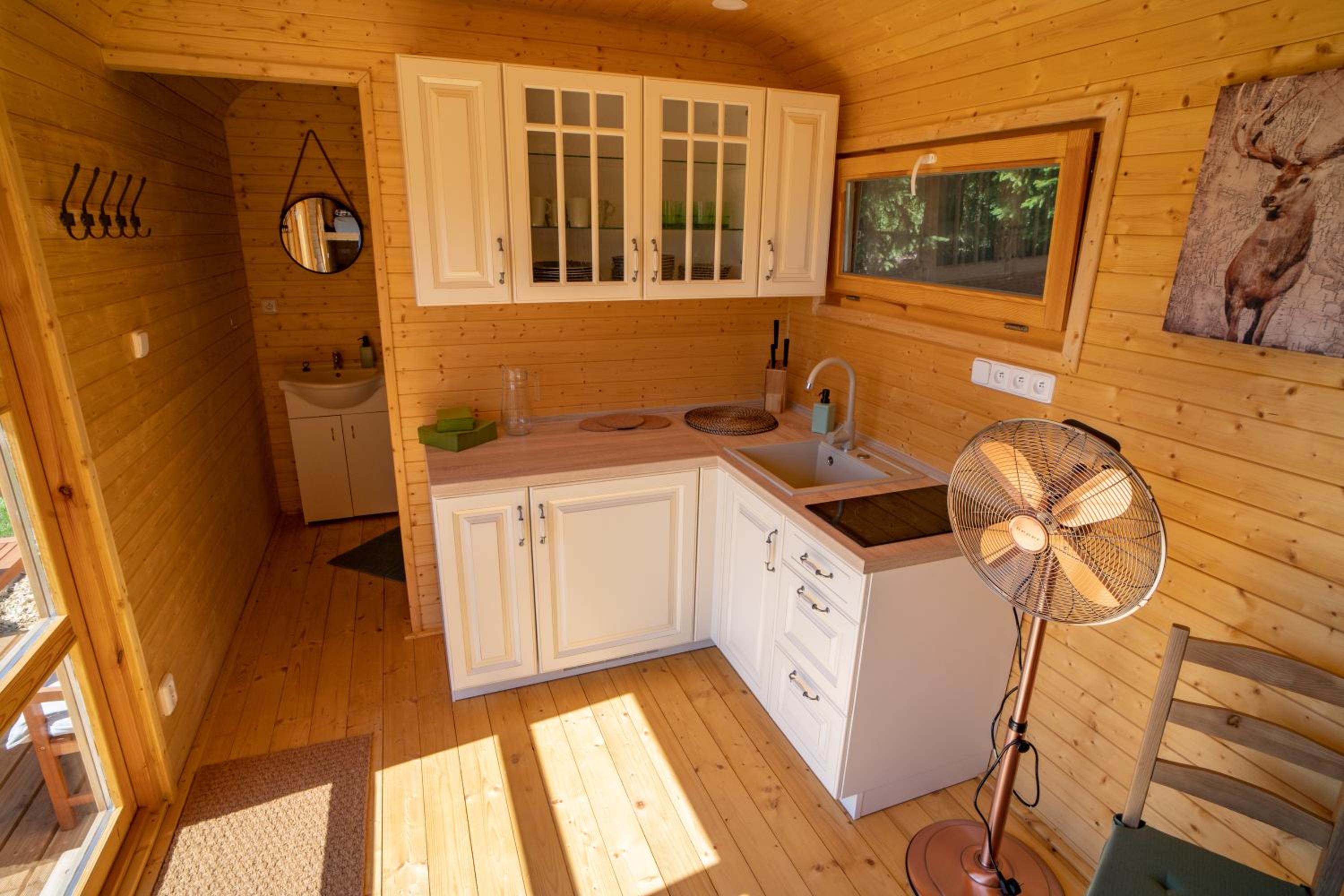 Mobile Home photo 2