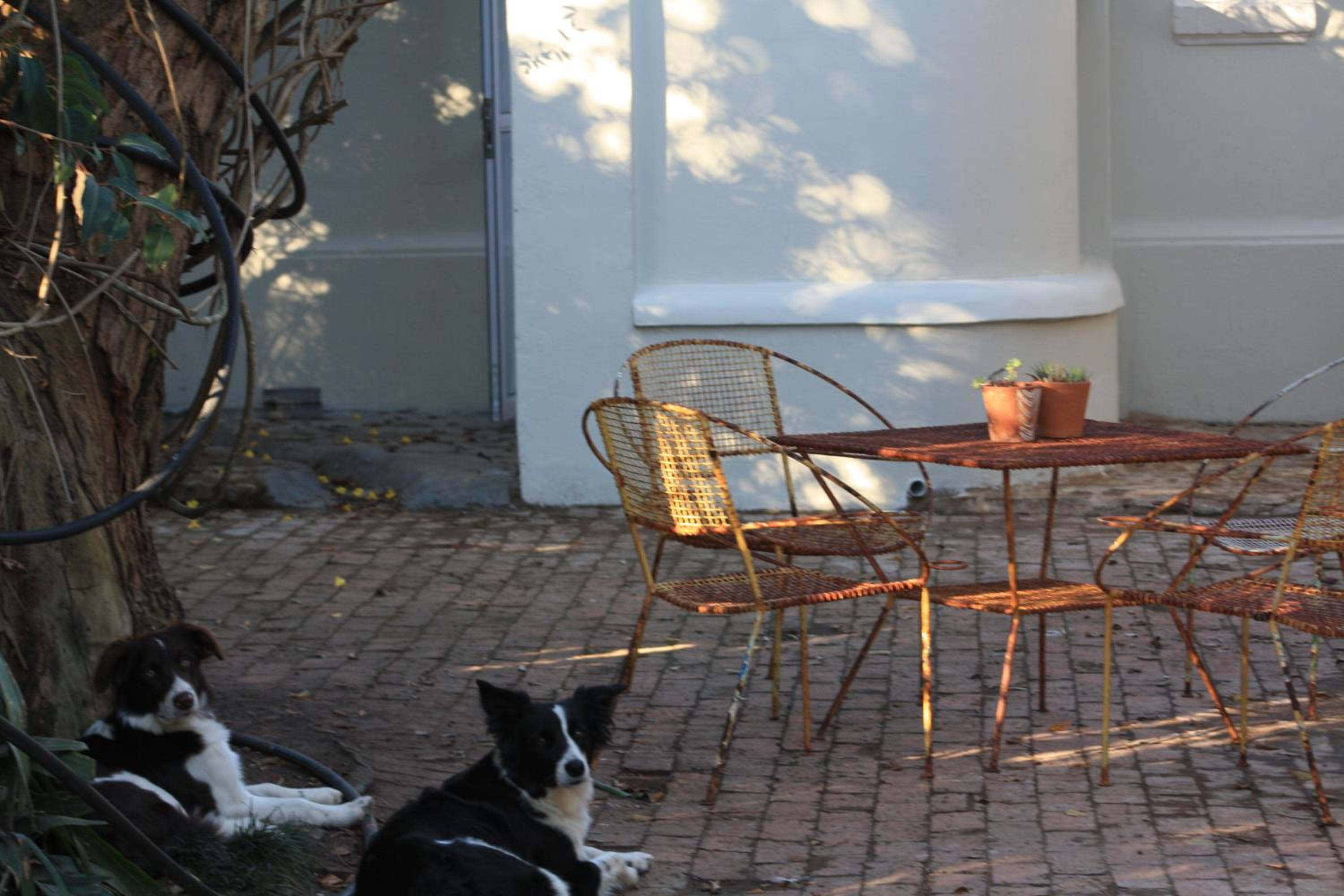 Family Studio - Photo 4