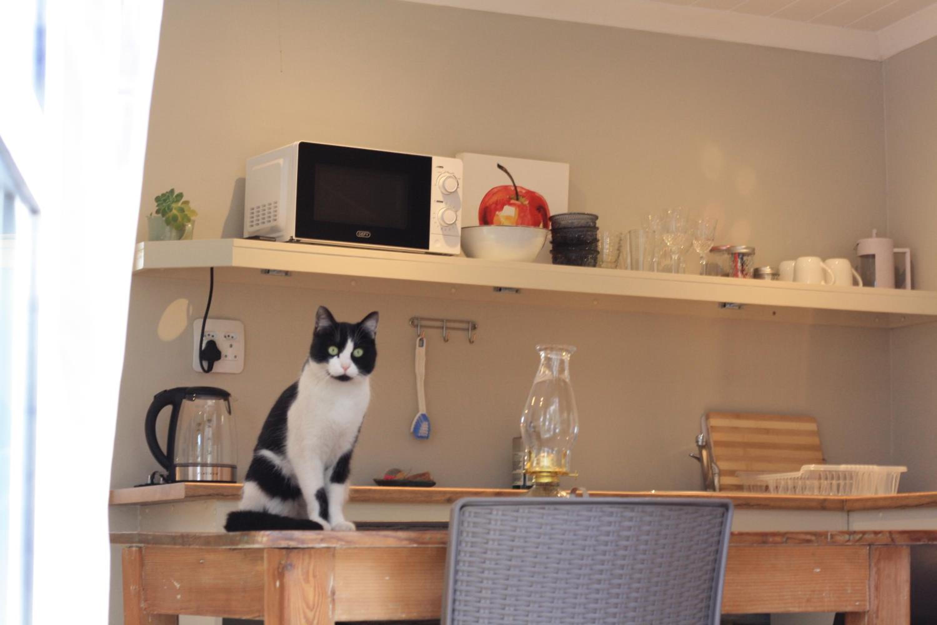 Family Studio - Photo 2