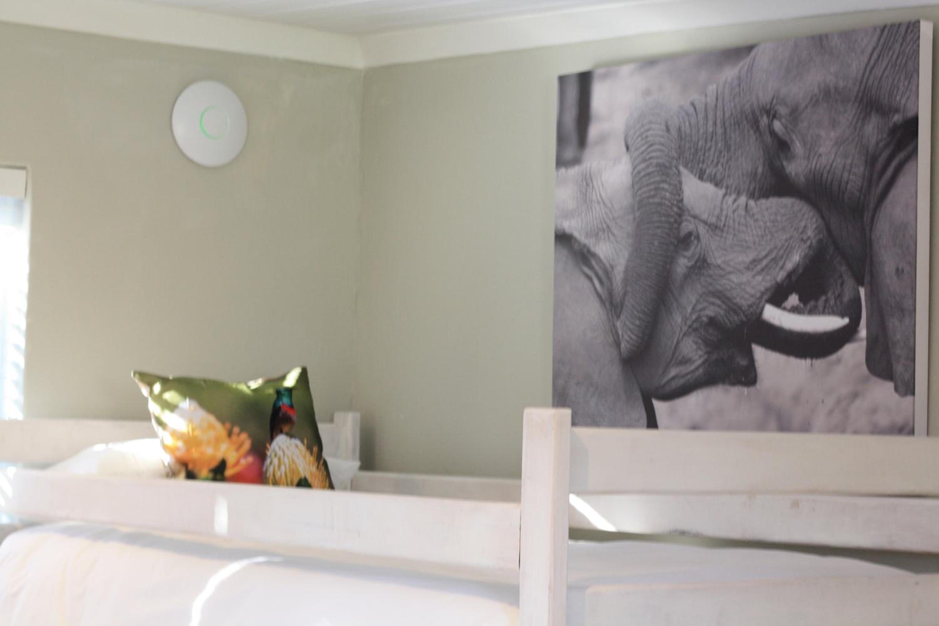 Family Studio - Photo 18