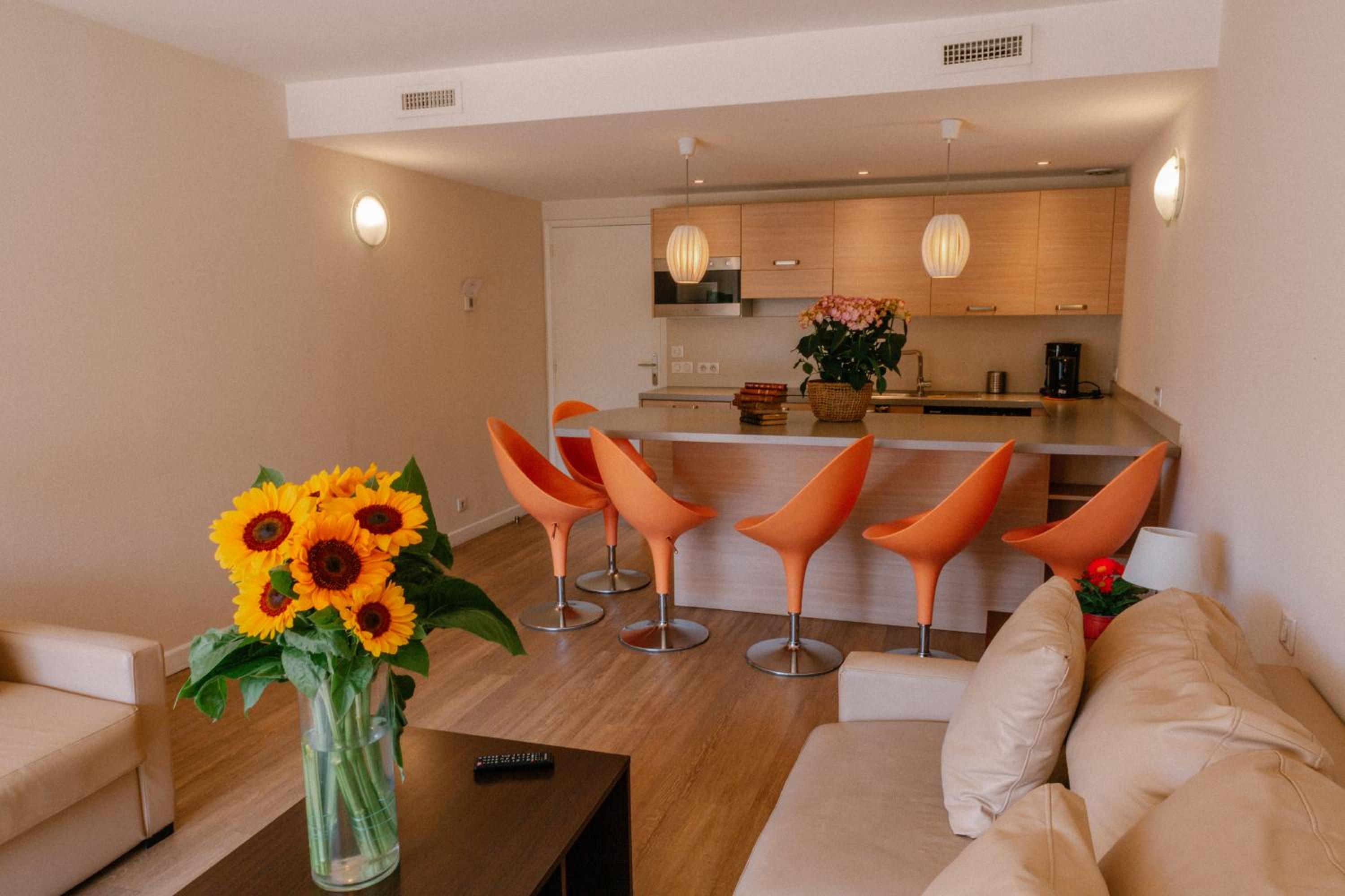 Superior One-Bedroom Apartment with Terrace photo 2