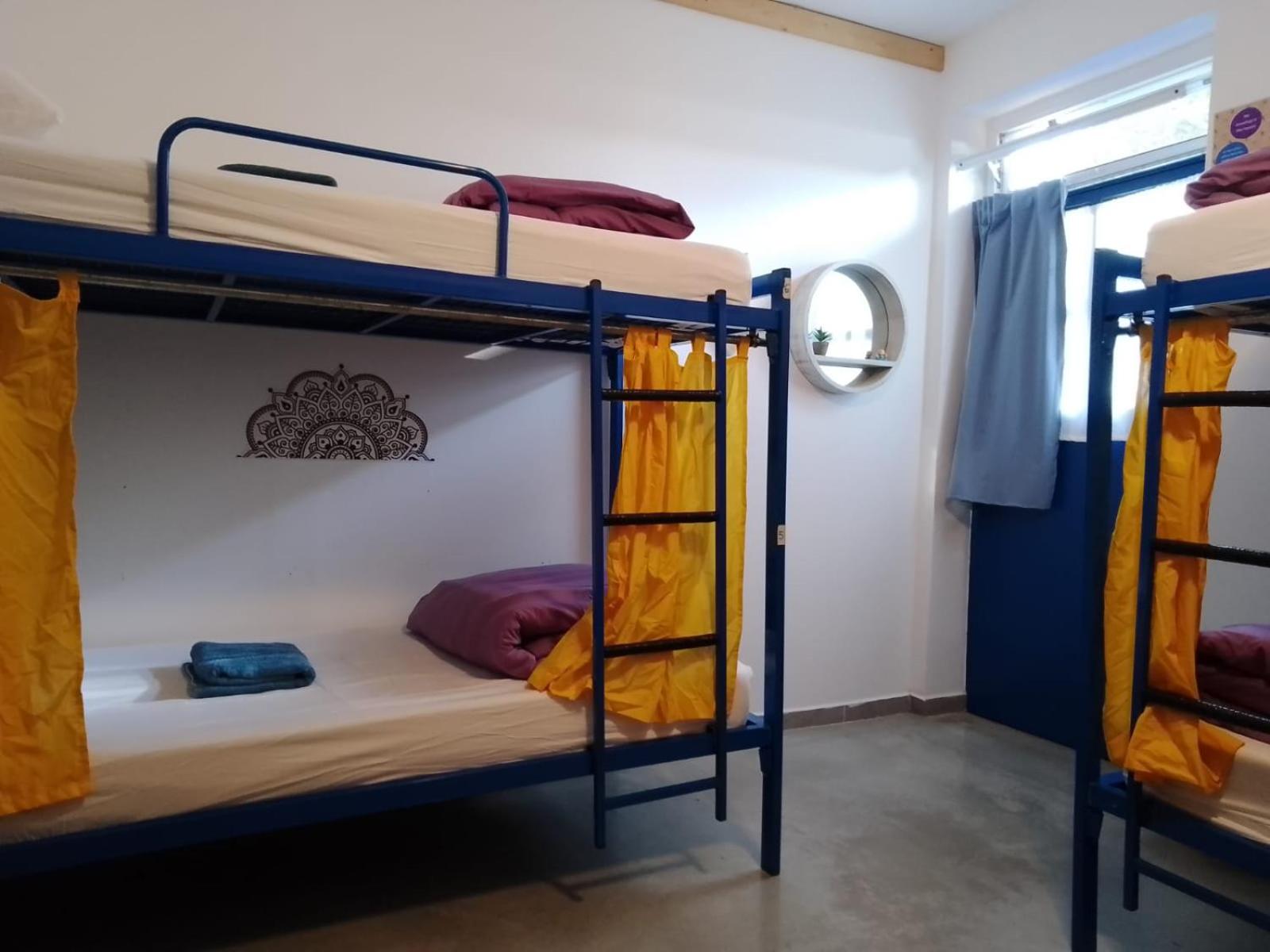 Bed in 6-Bed Mixed Dormitory Room photo 3