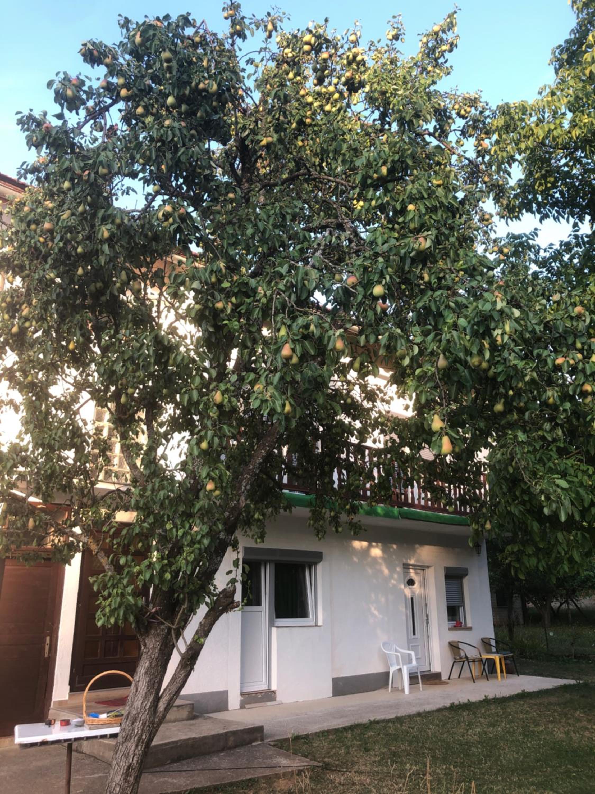 Apartment with Balcony - Photo 30