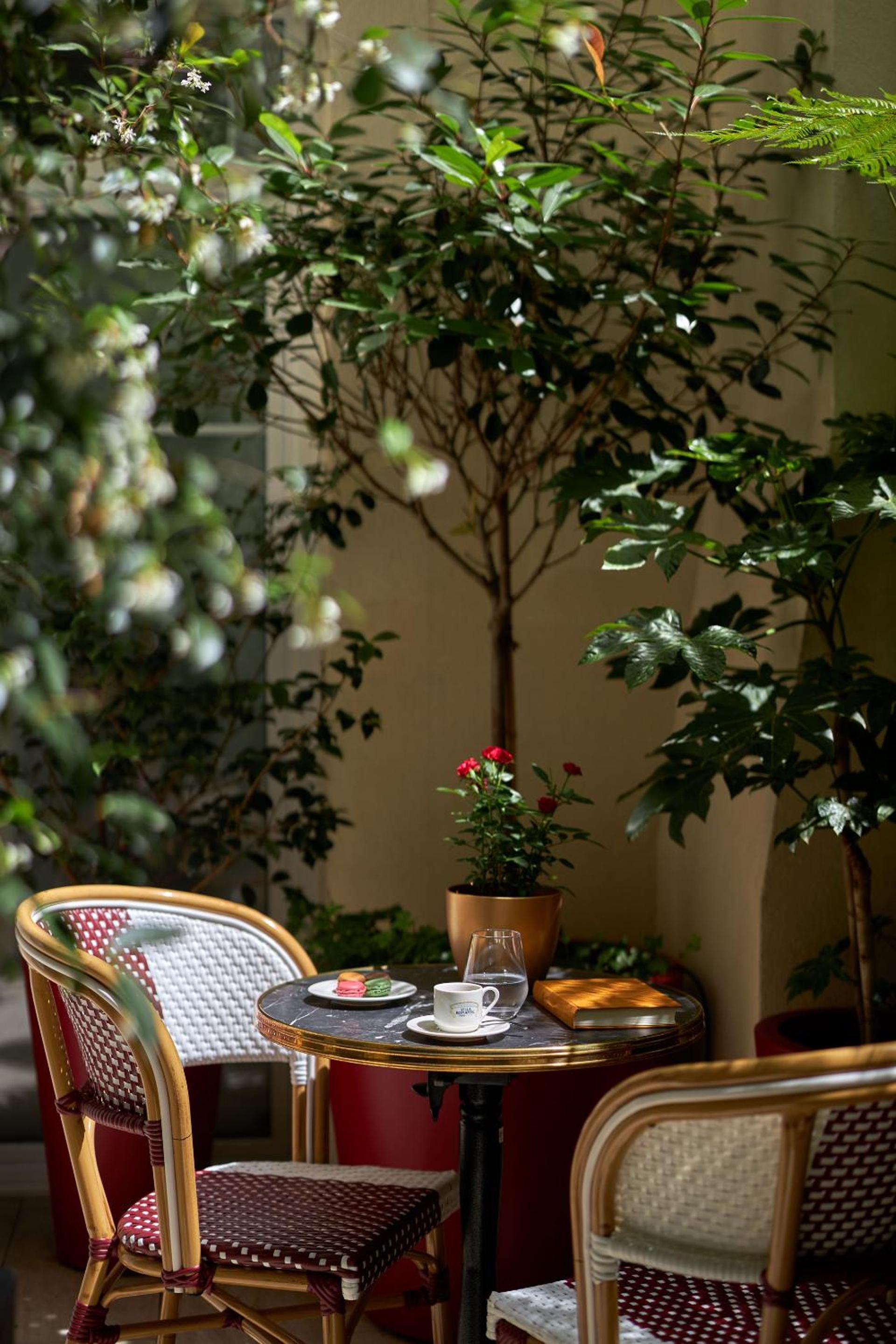 Double Room with Terrace photo 3