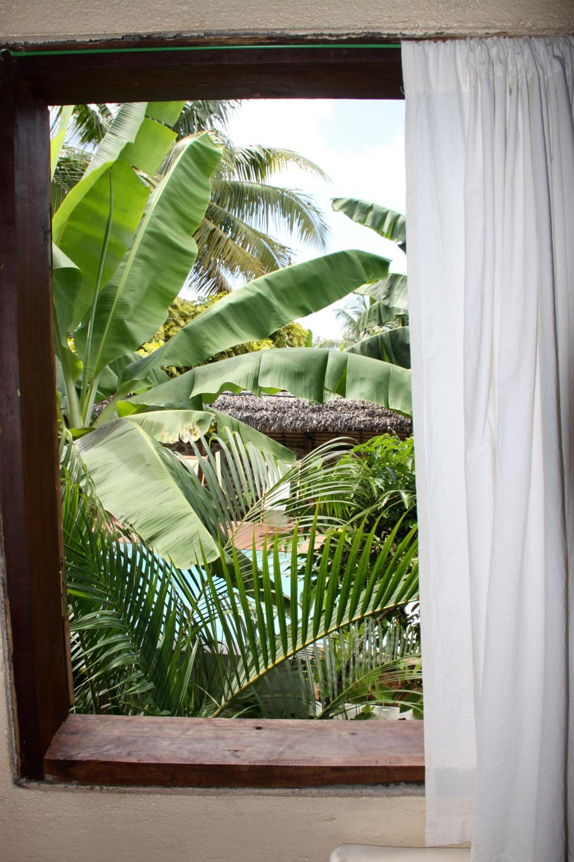 Bungalow with Garden View photo 3