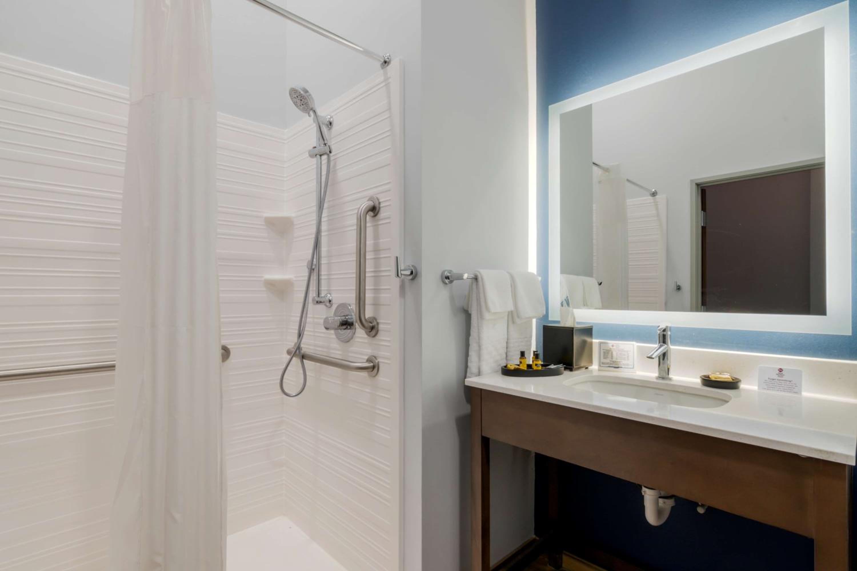 King Room with Roll-In Shower - Mobility Accessible - Photo 5