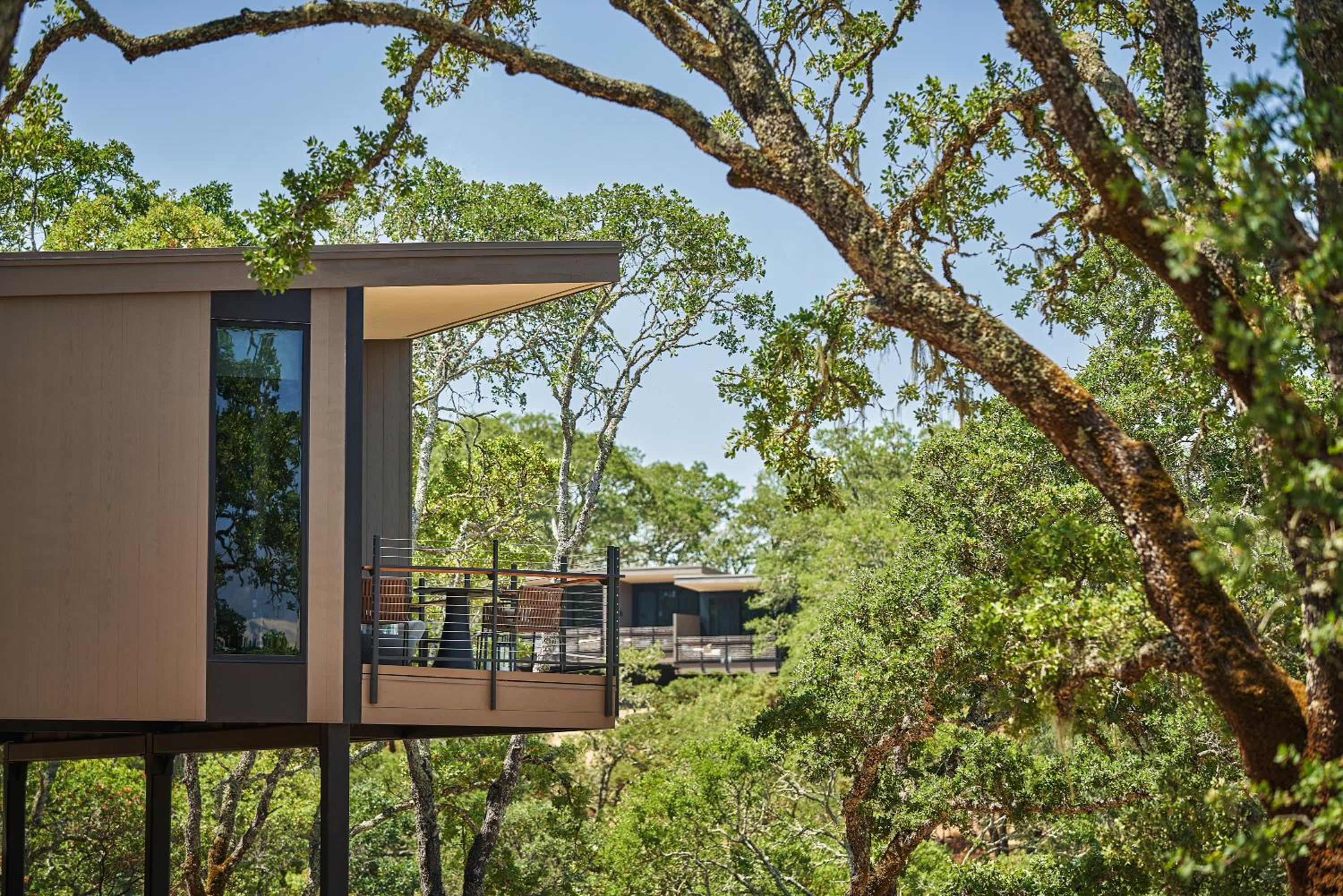 ADA Forest Studio - Photo 4
