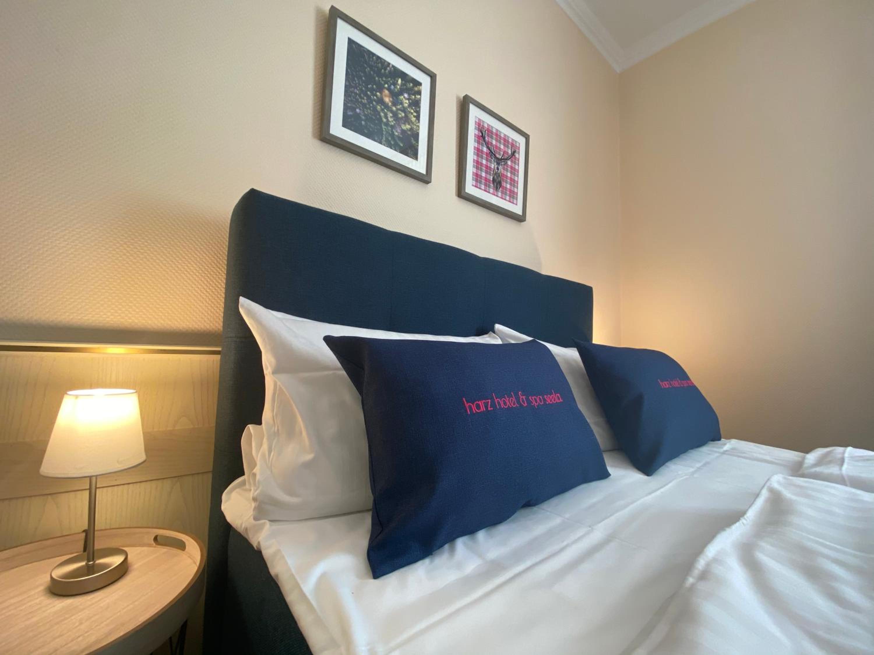 "Harzer Nester" - Mini Double Room photo 2