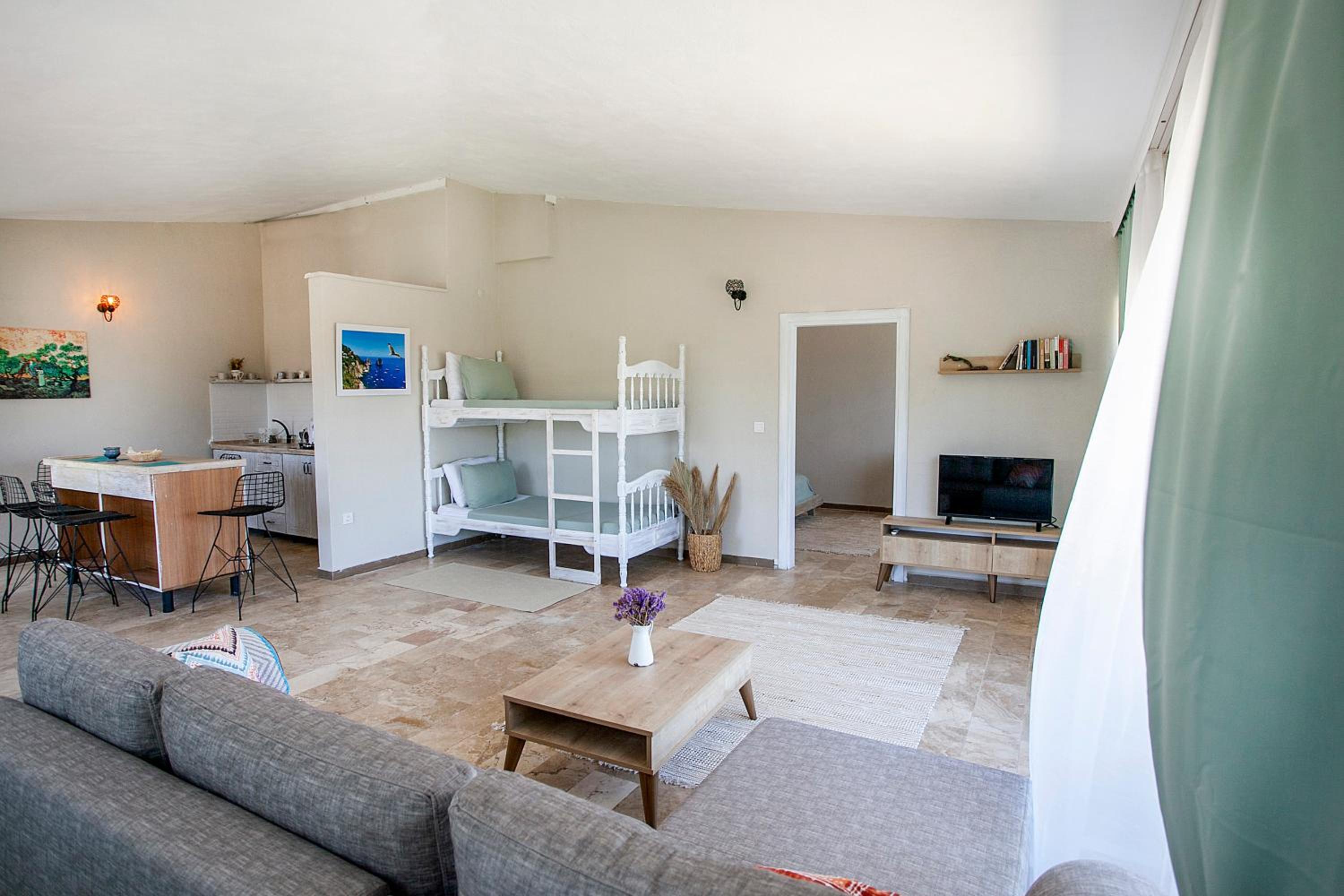 One-Bedroom Apartment photo 3